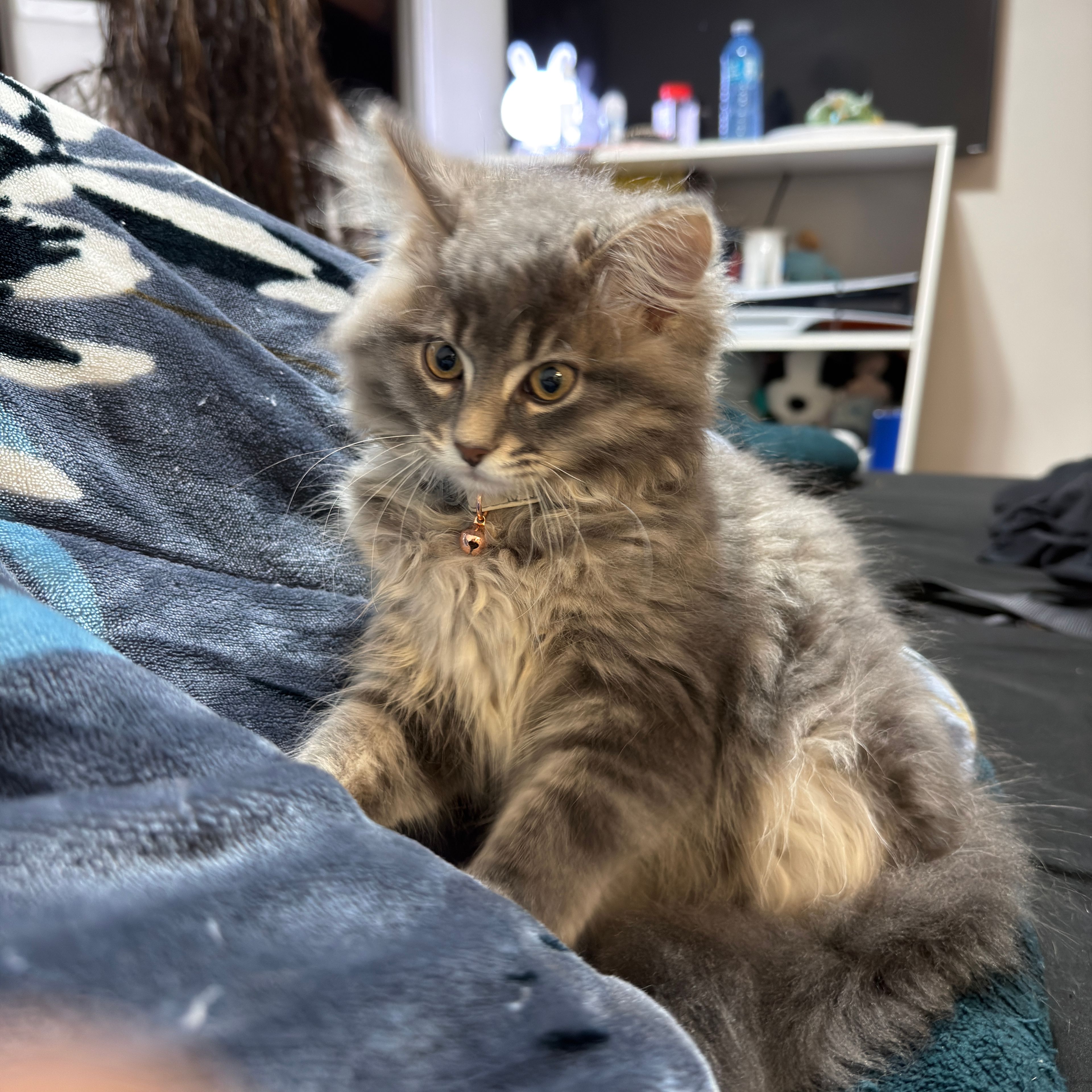 Coco