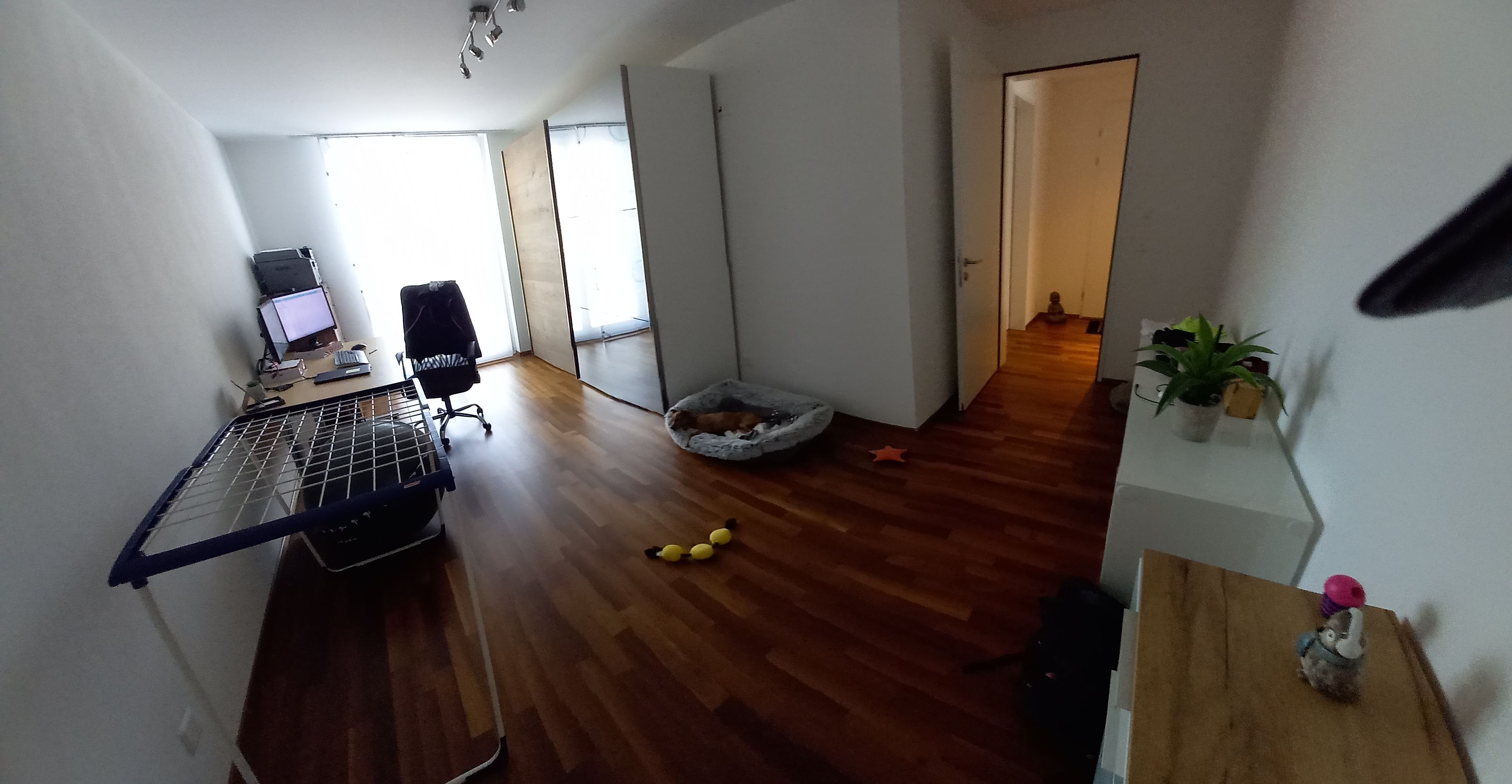image-13