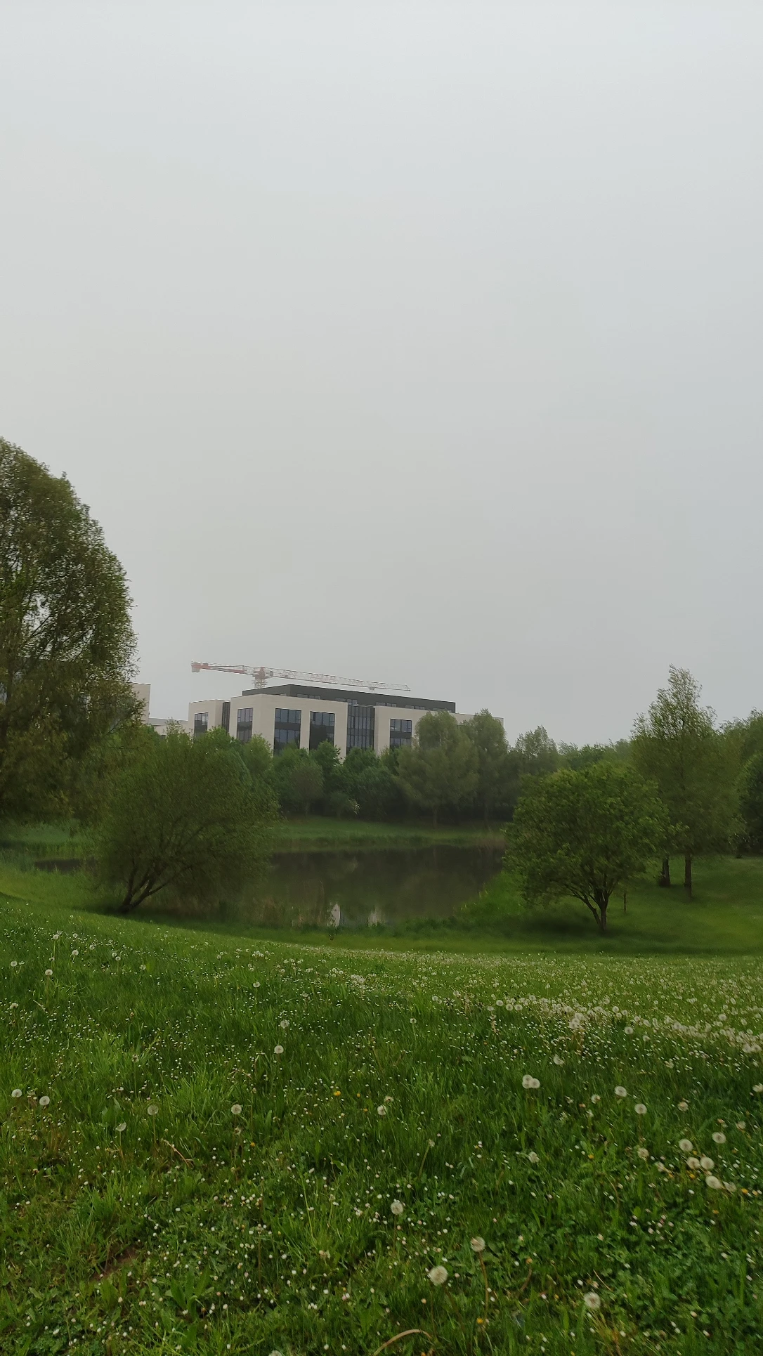 image-31