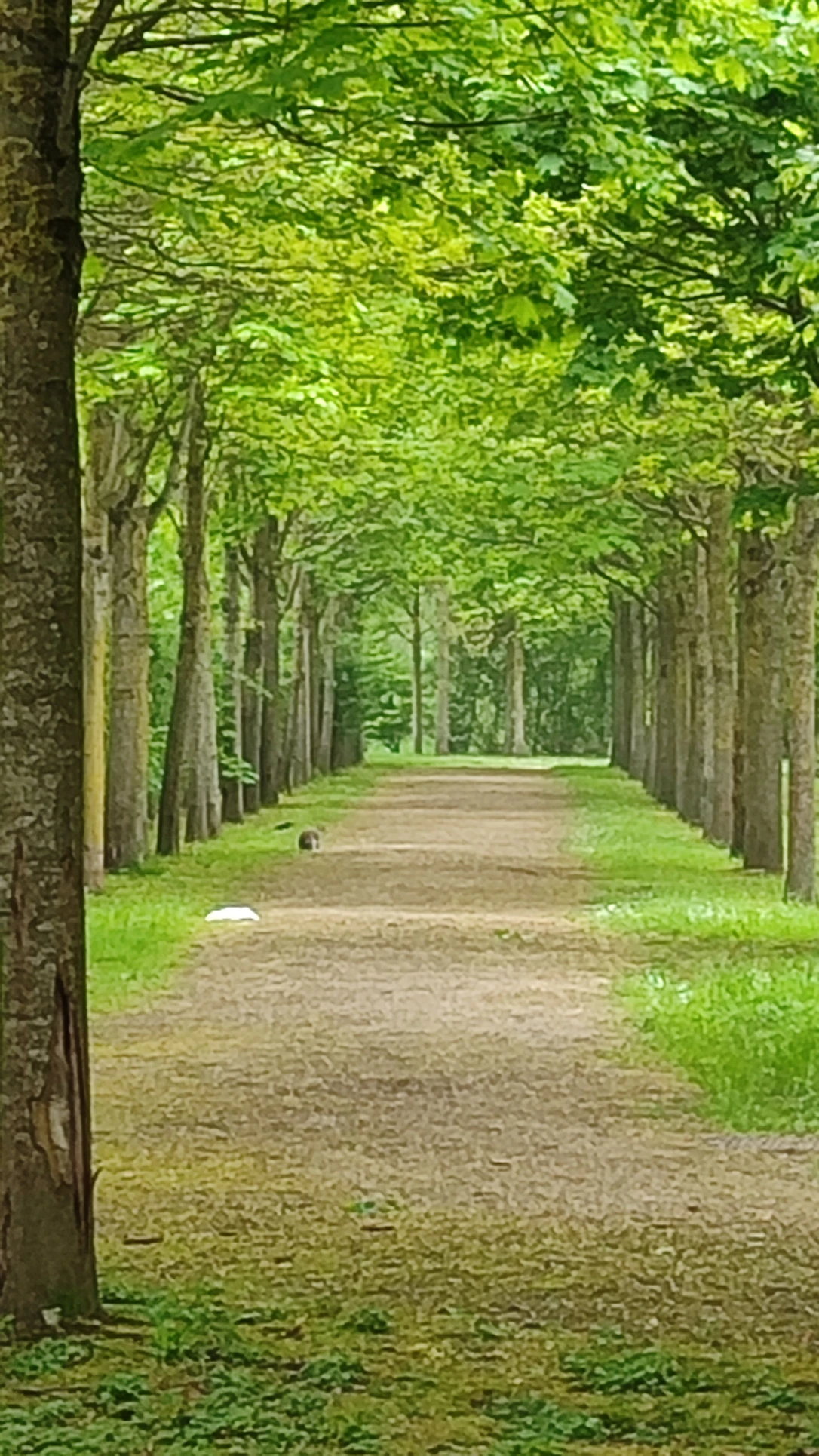 image-28