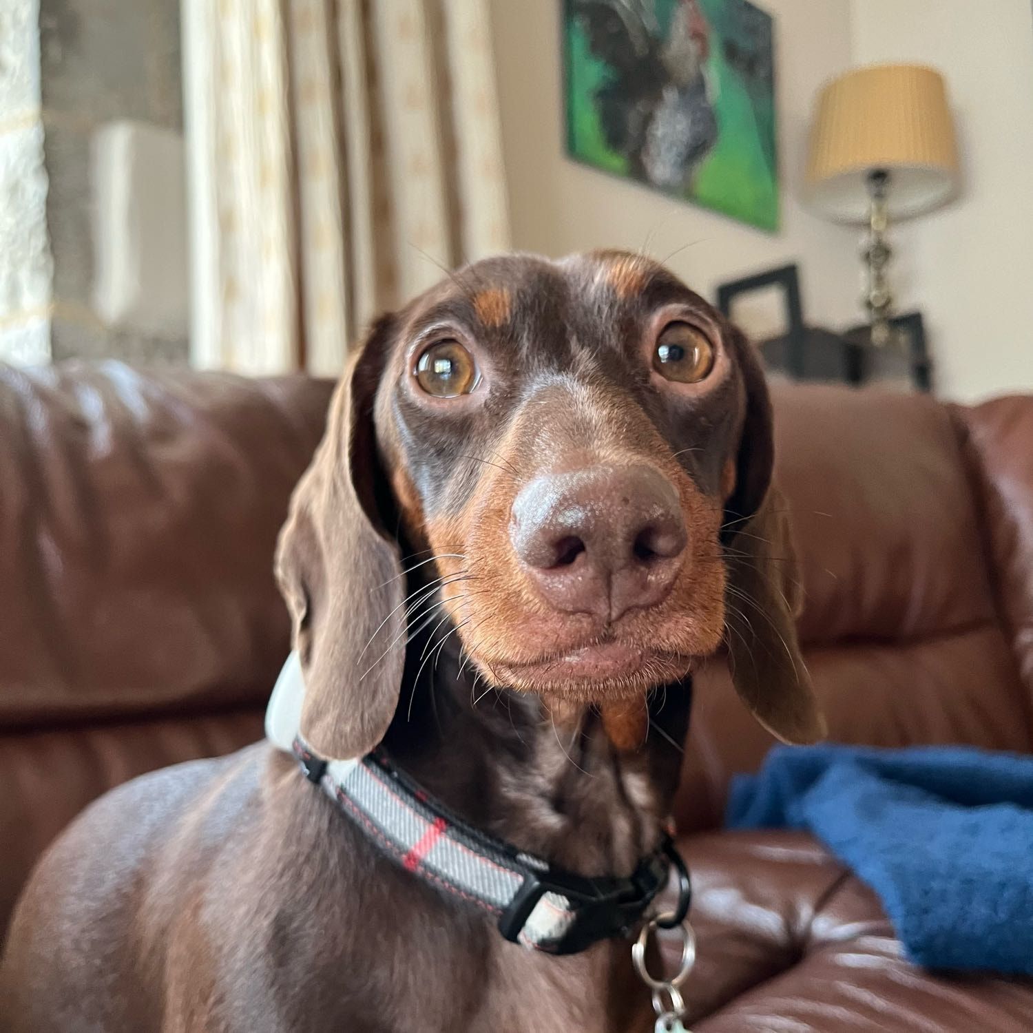 Millie