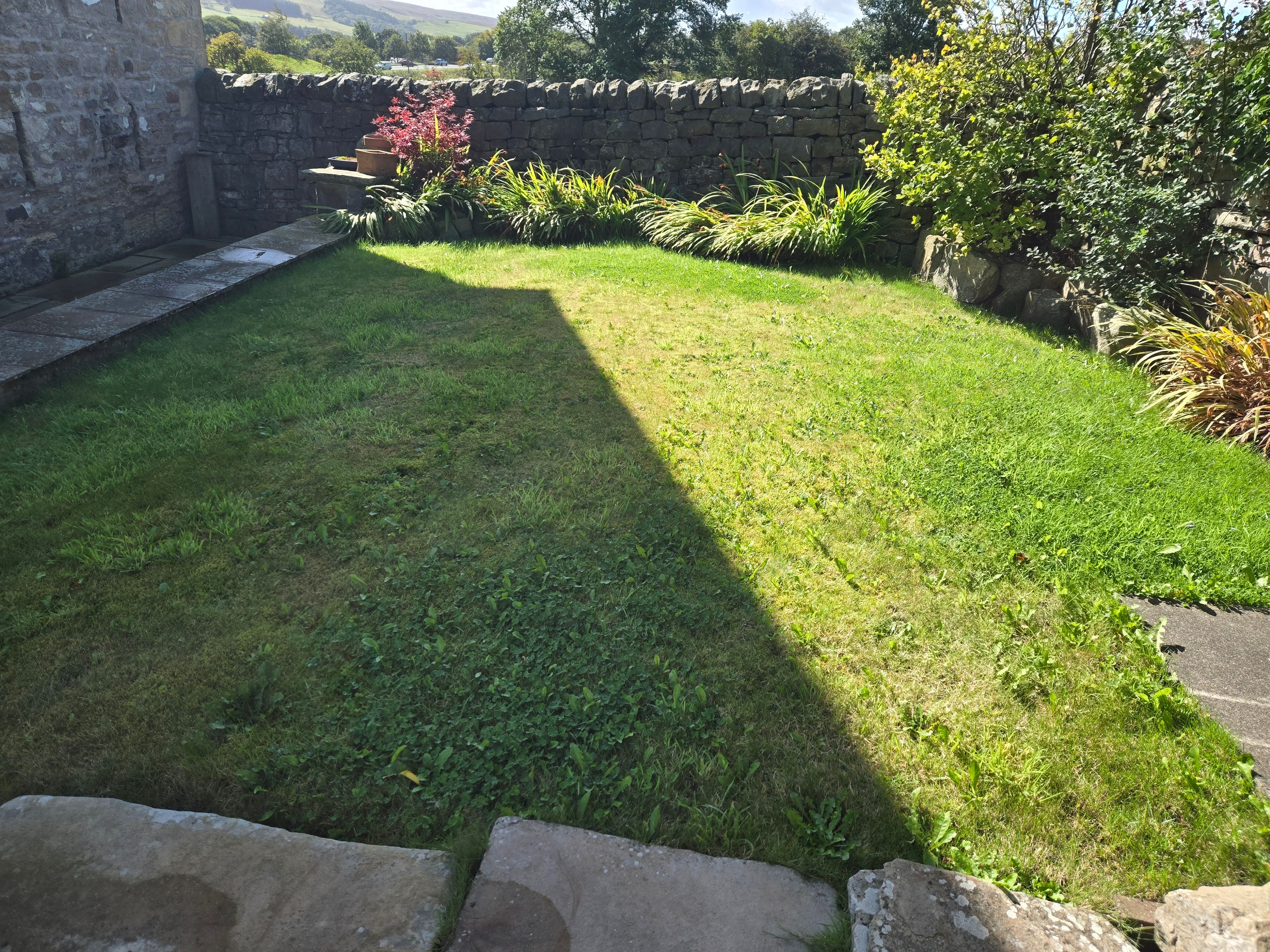 image-6