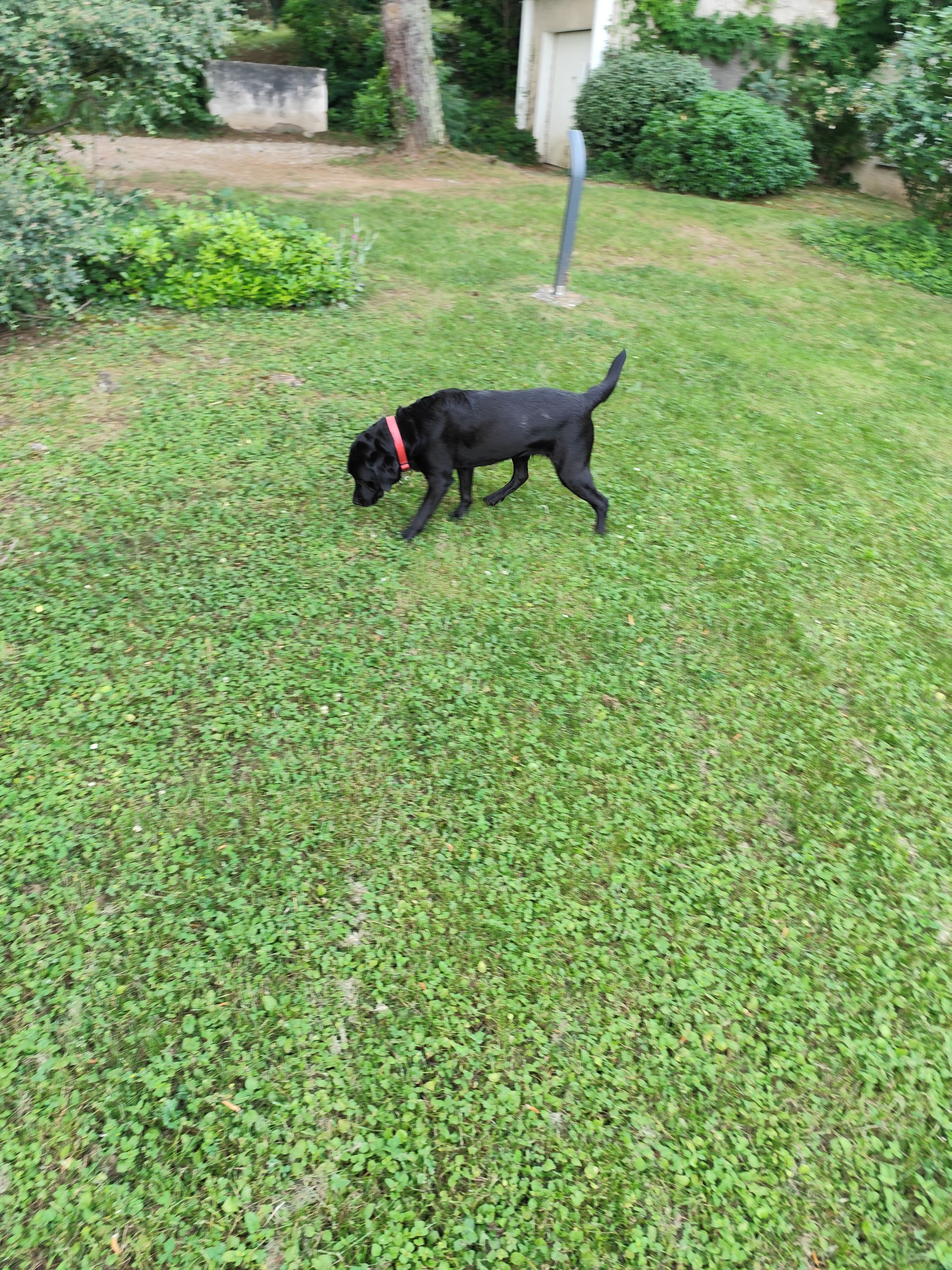 image-8