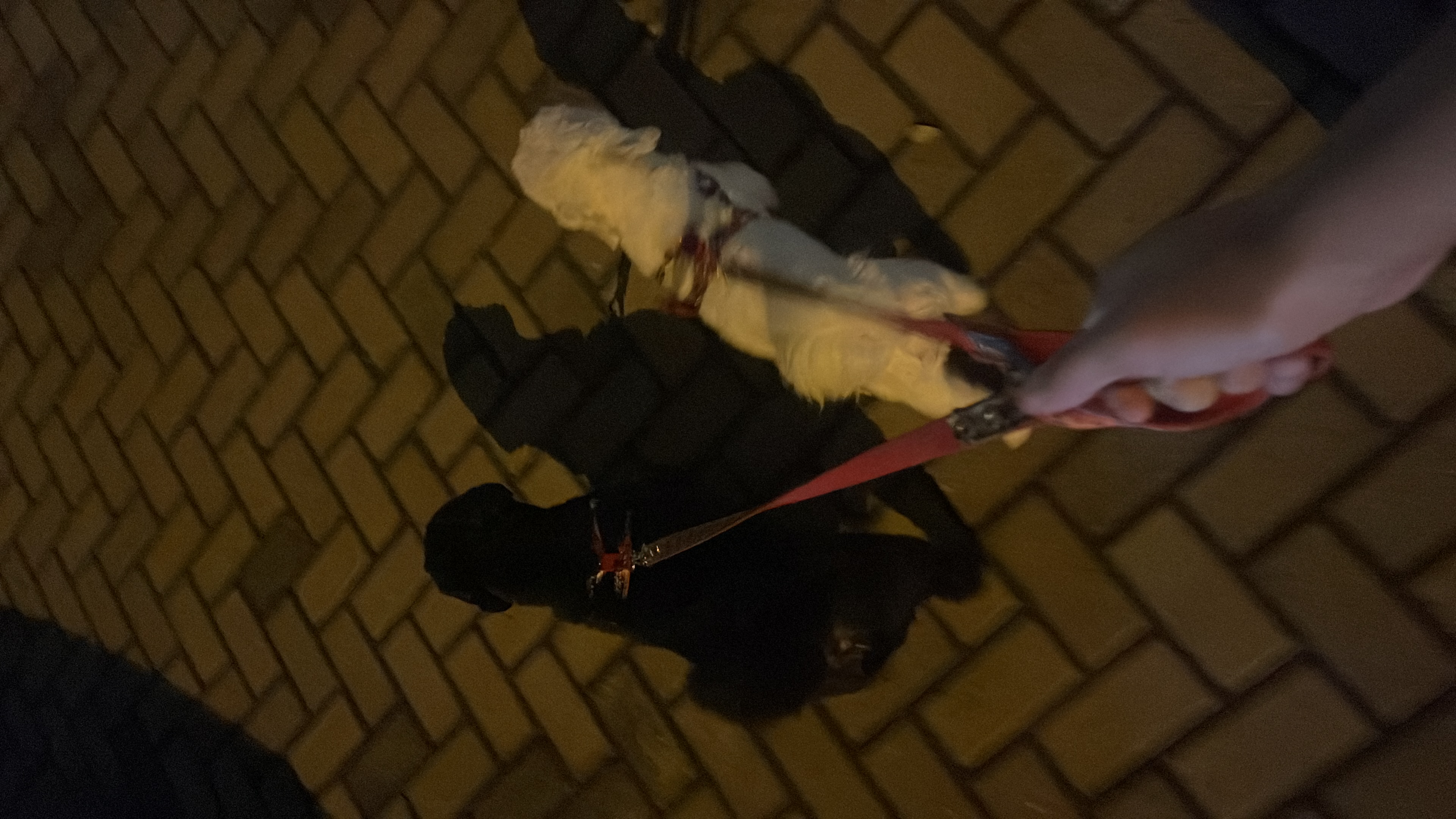 image-8