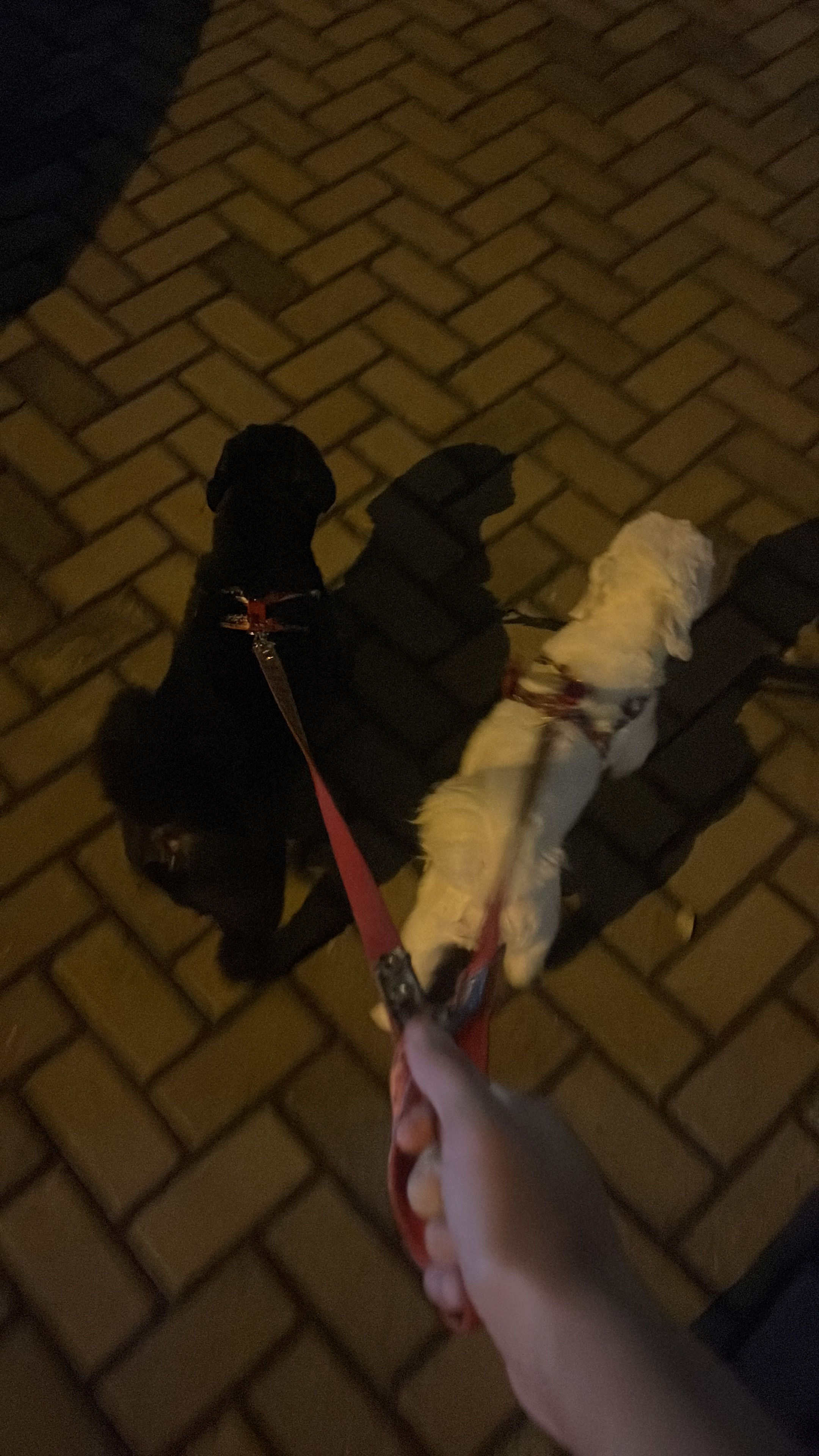 image-8