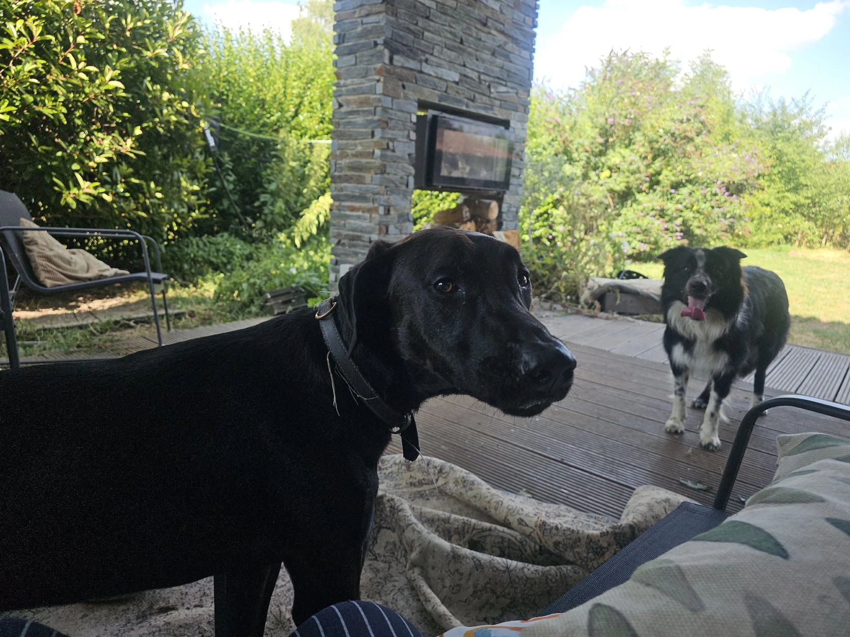 image-28