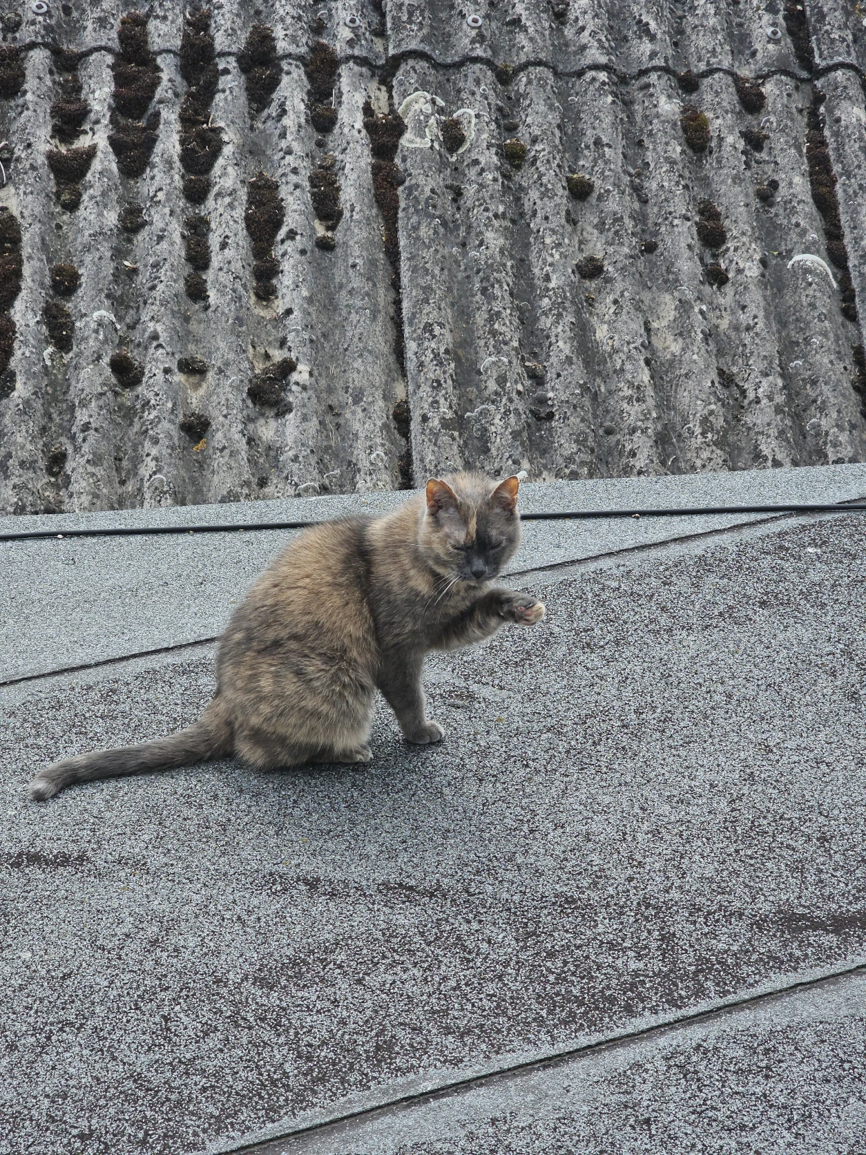 image-27