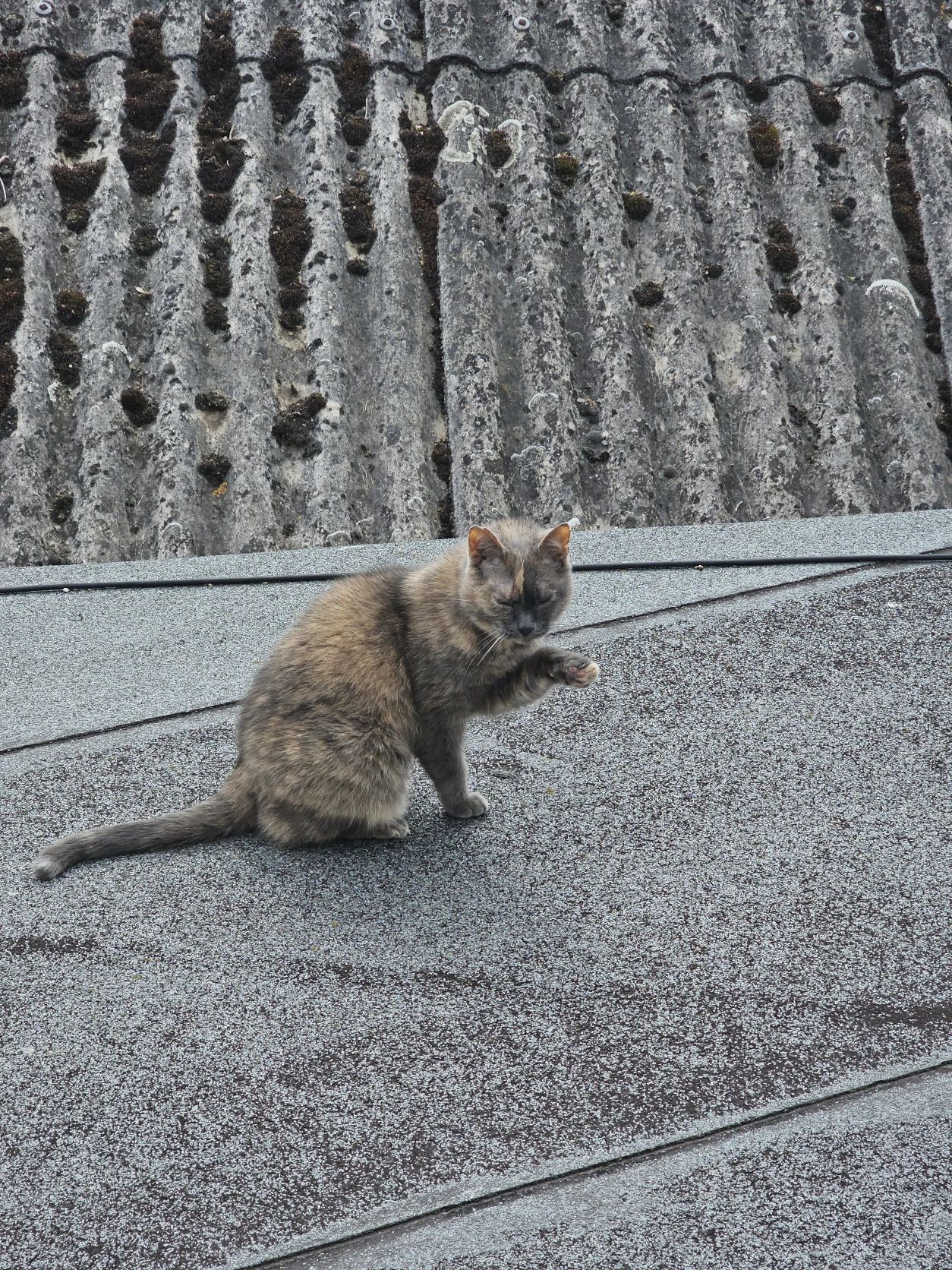 image-27