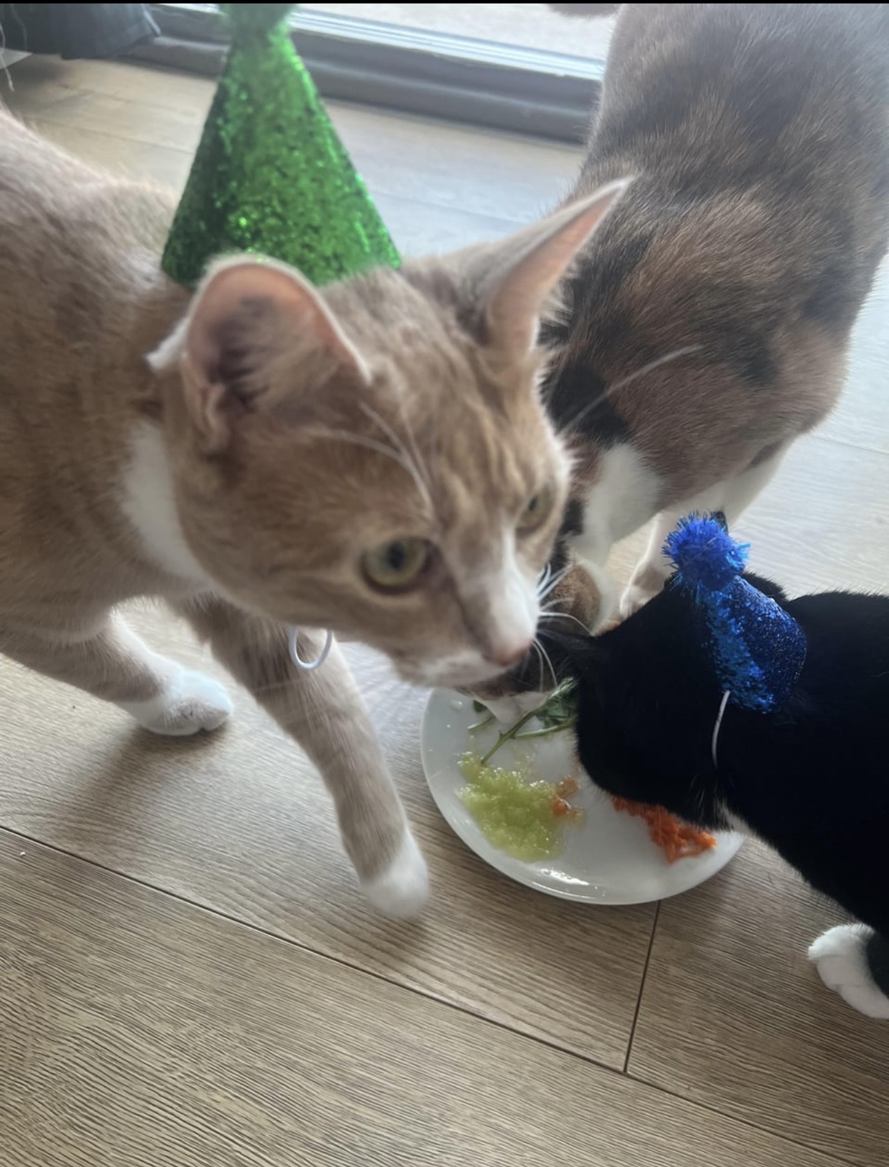 image-32