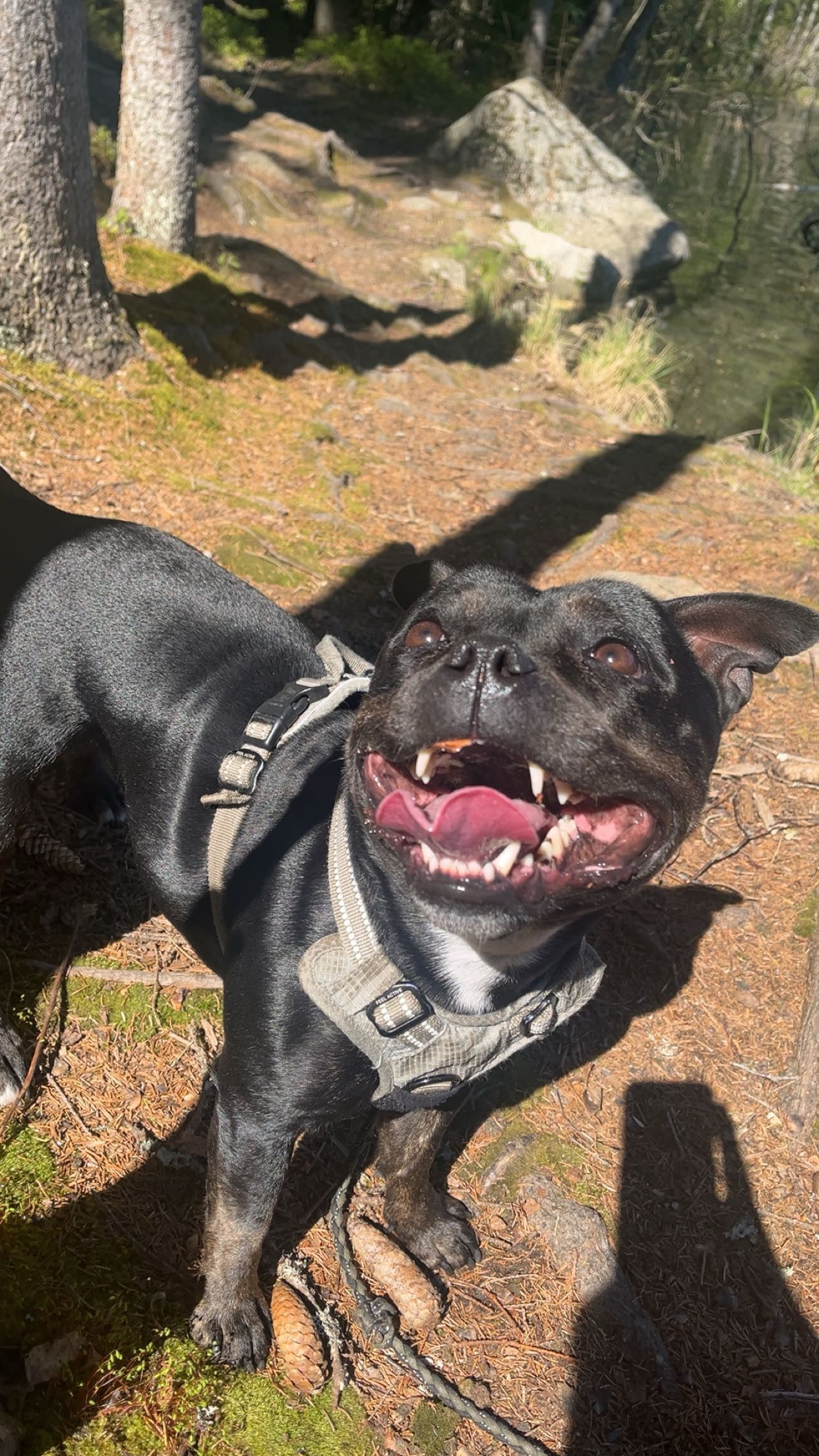 image-3