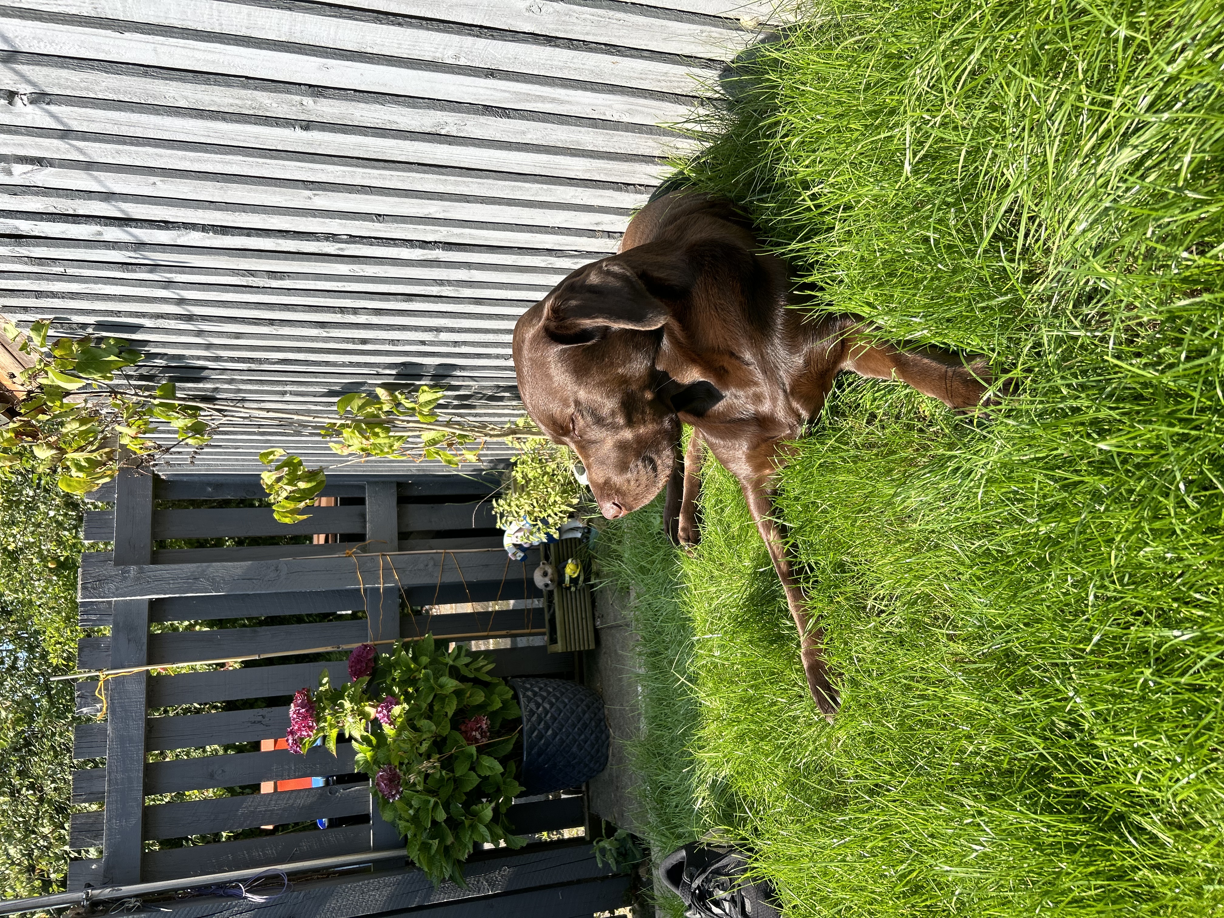 image-13
