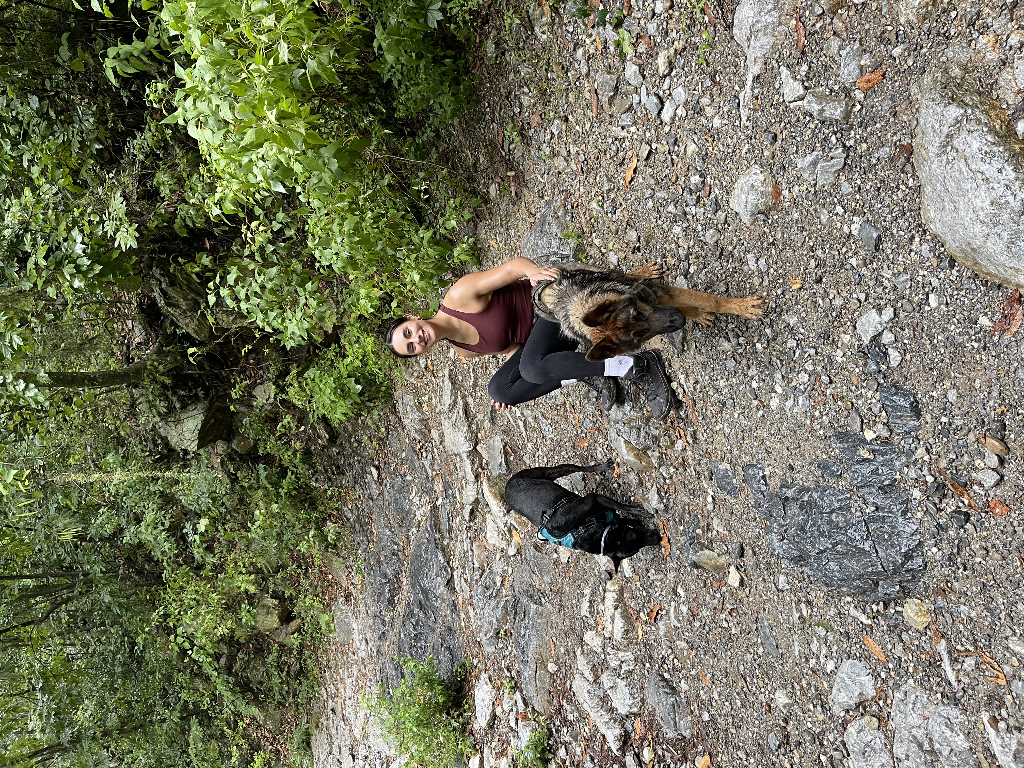 image-6