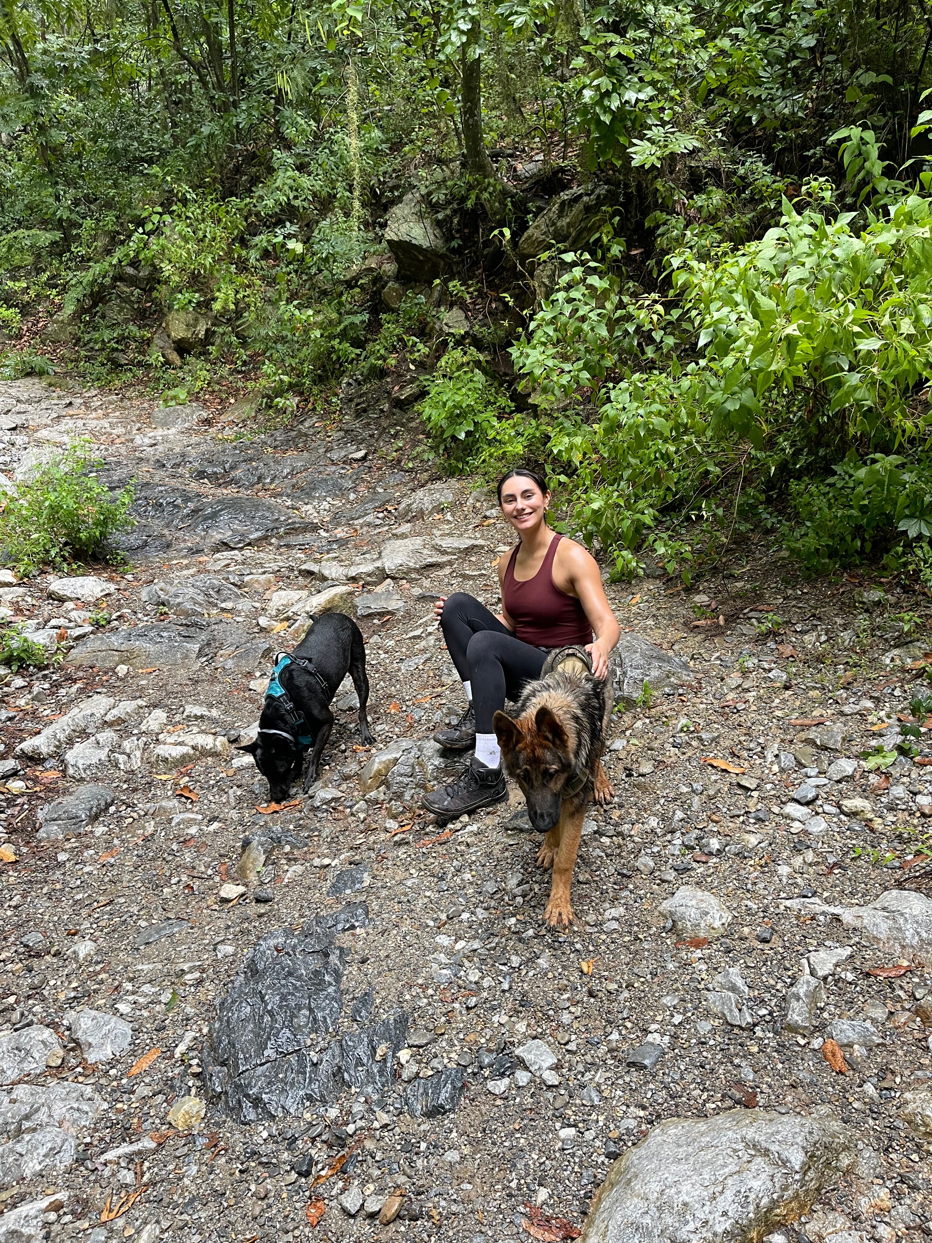 image-6