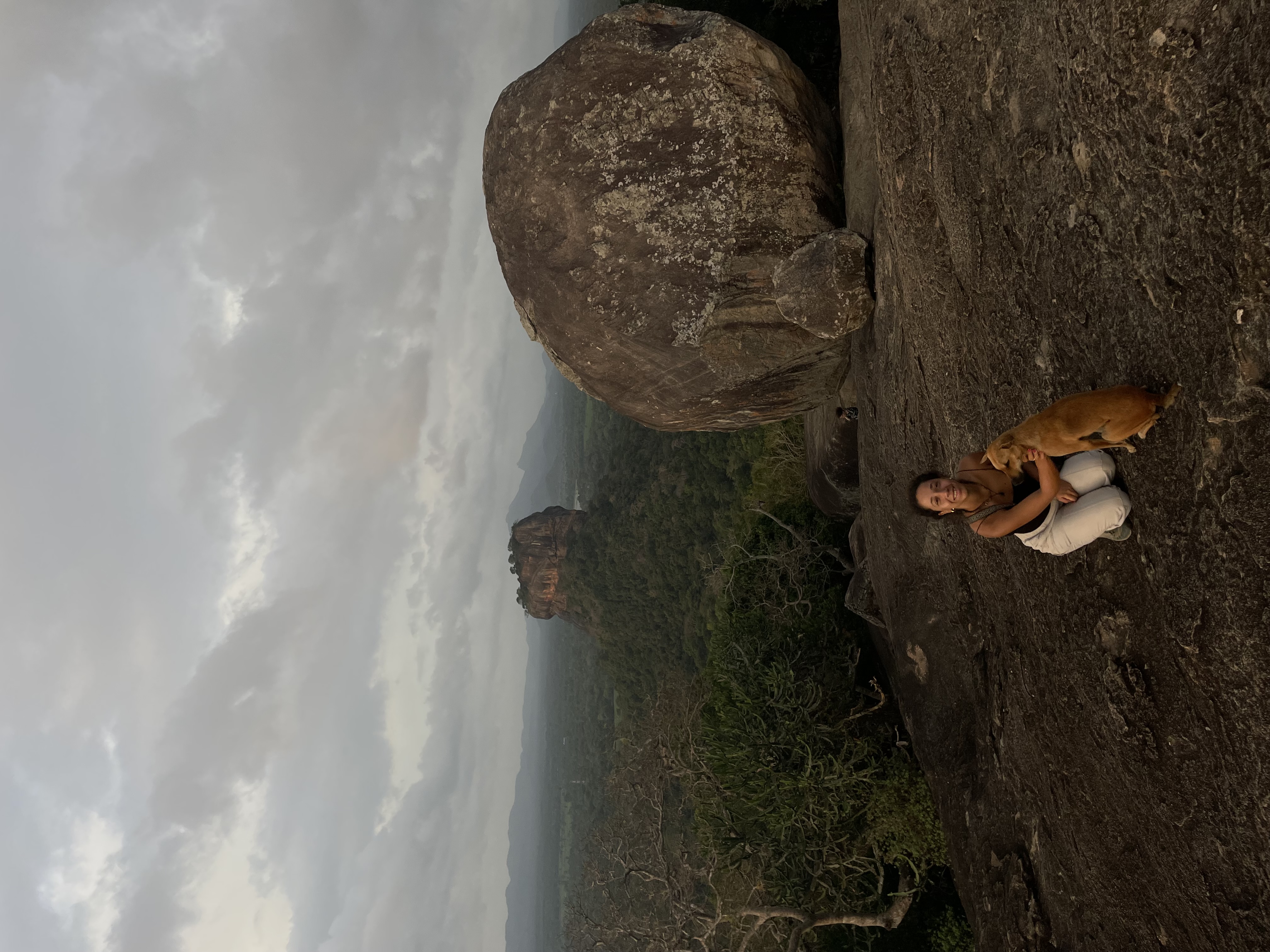image-4