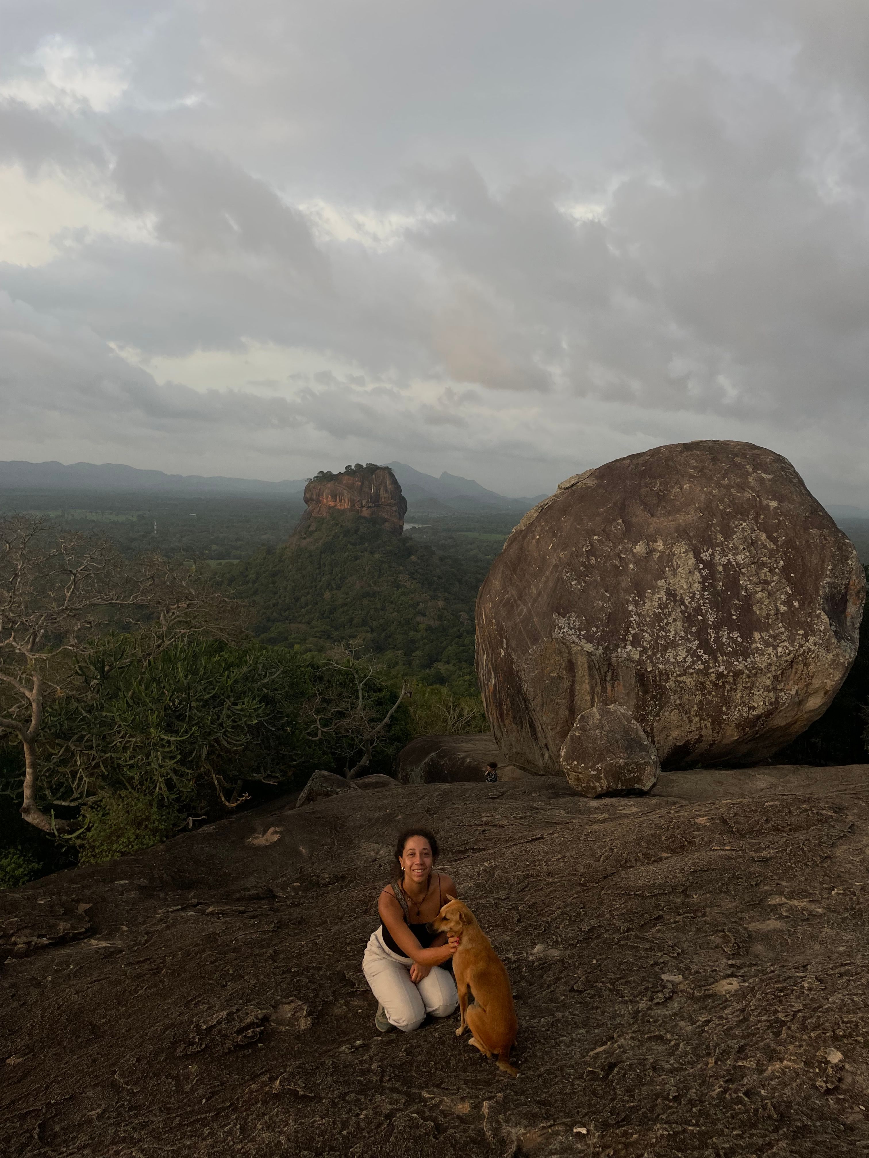 image-4
