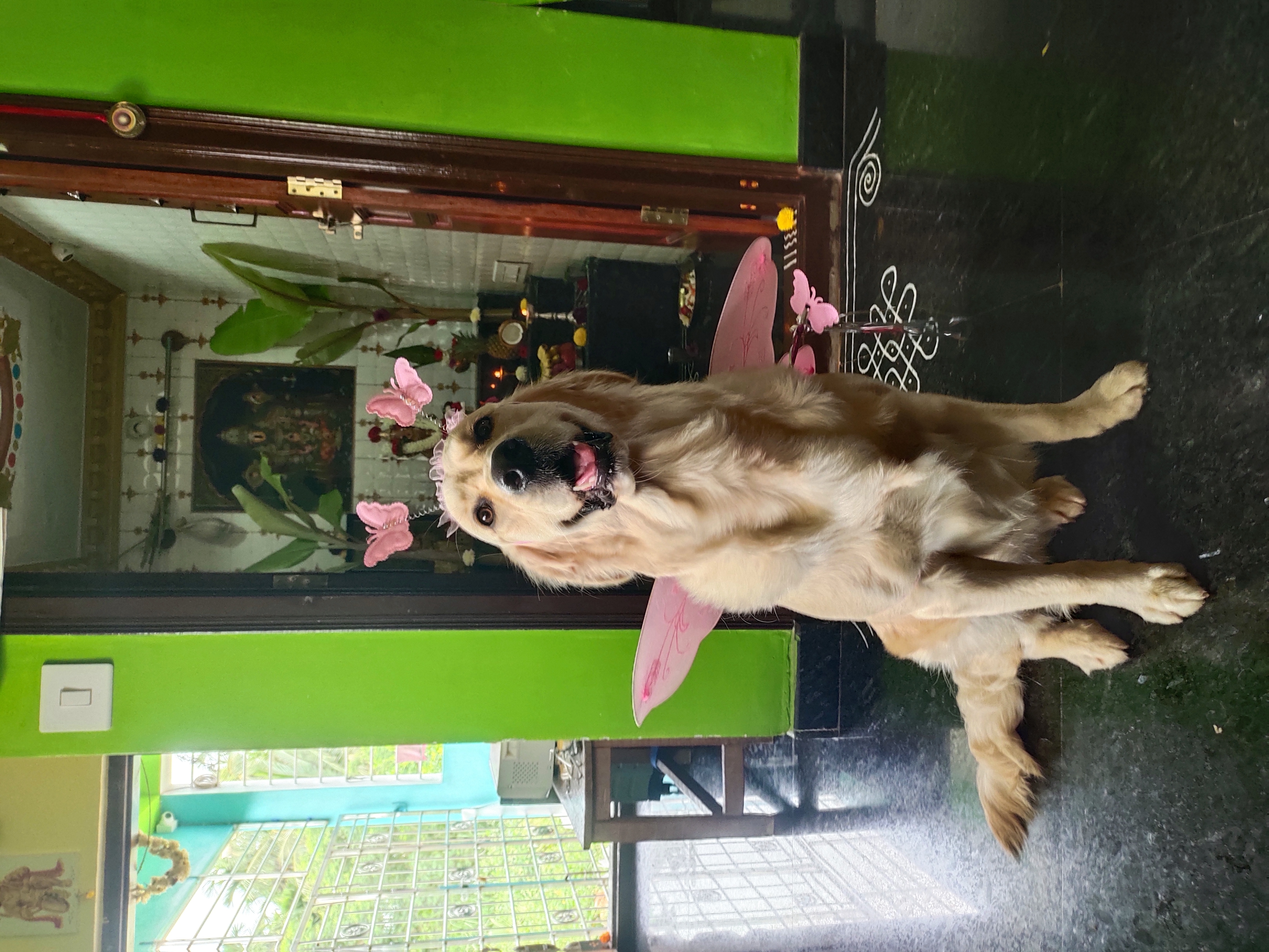 image-5