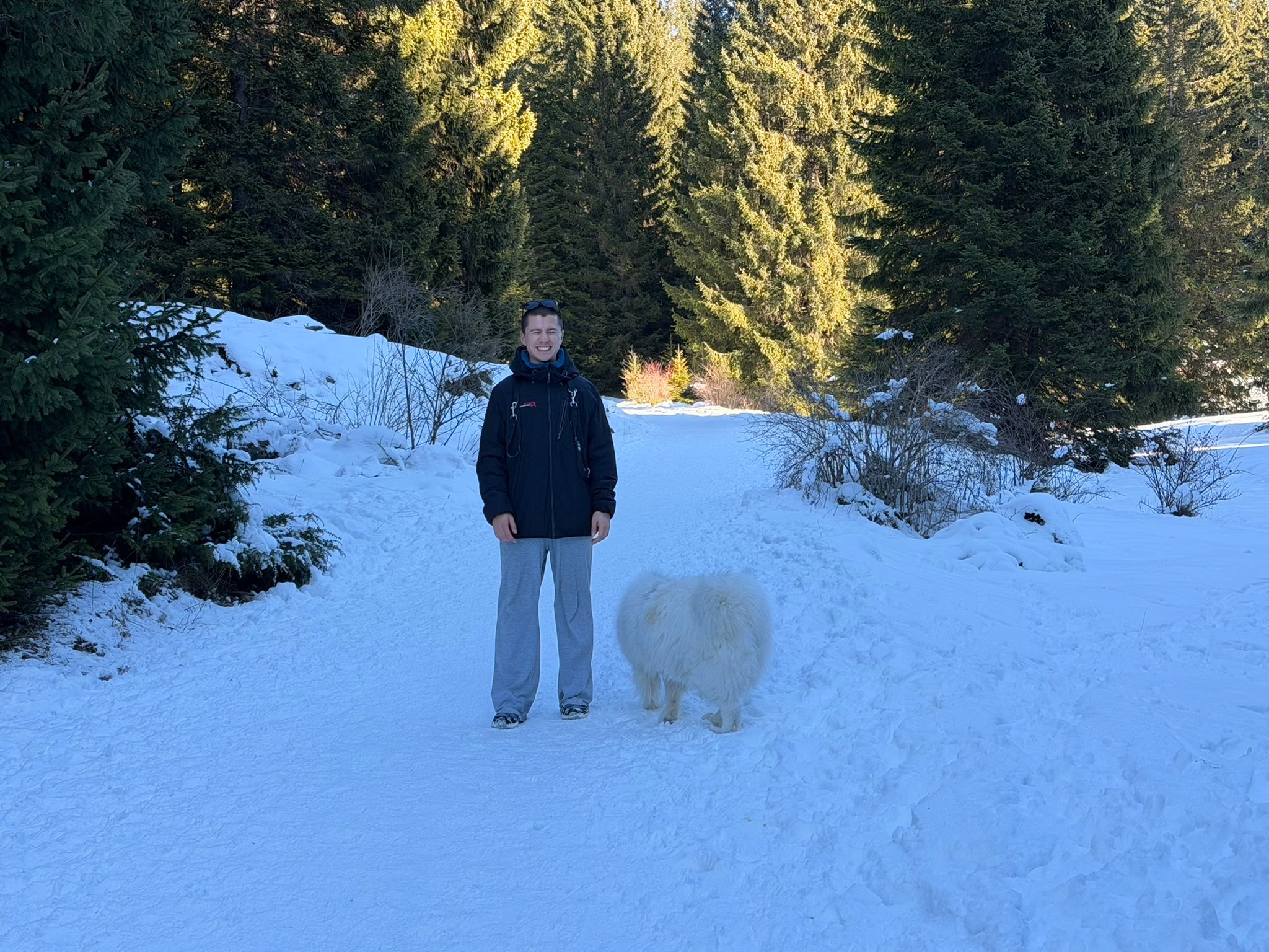 image-8