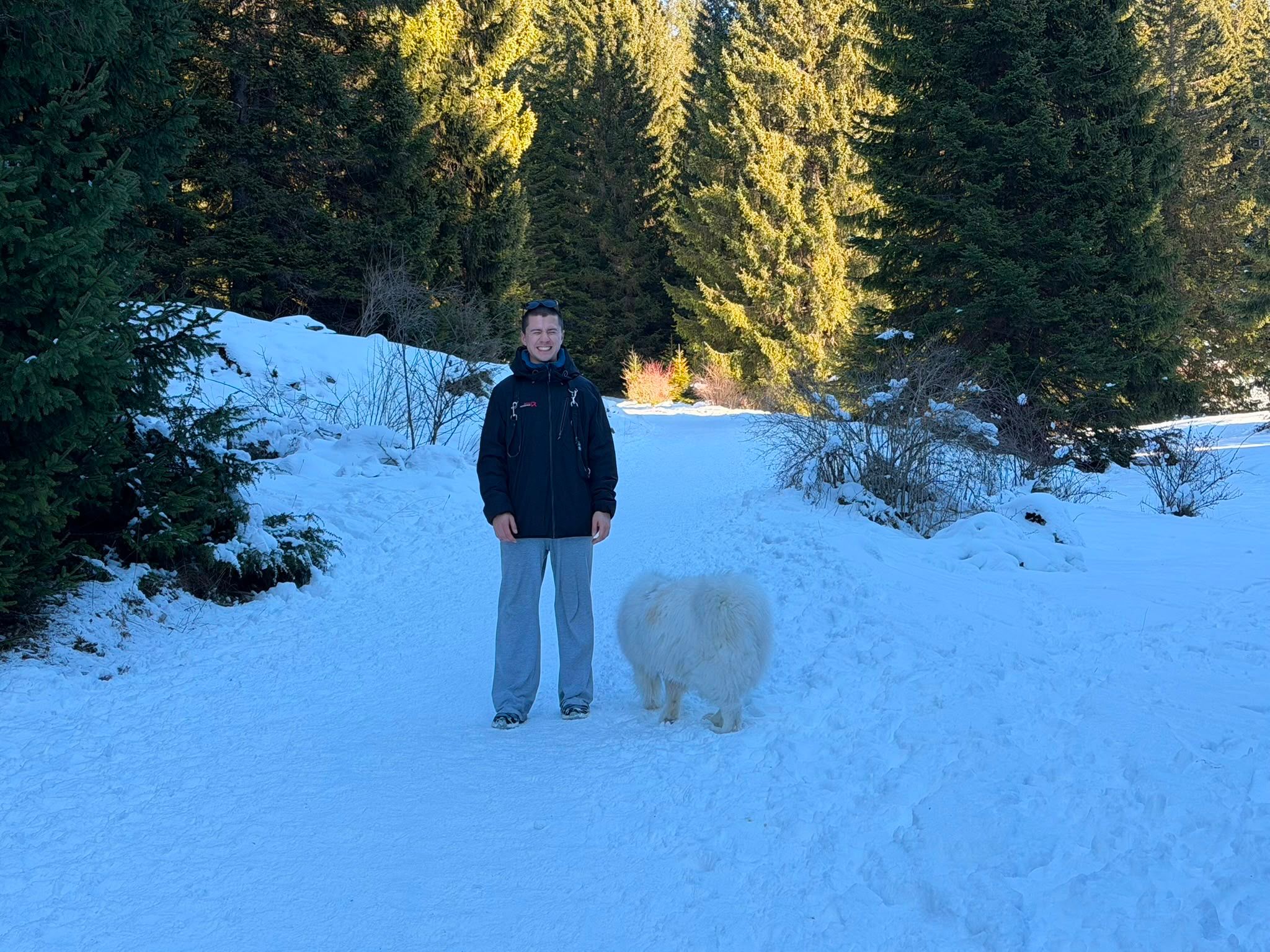 image-8