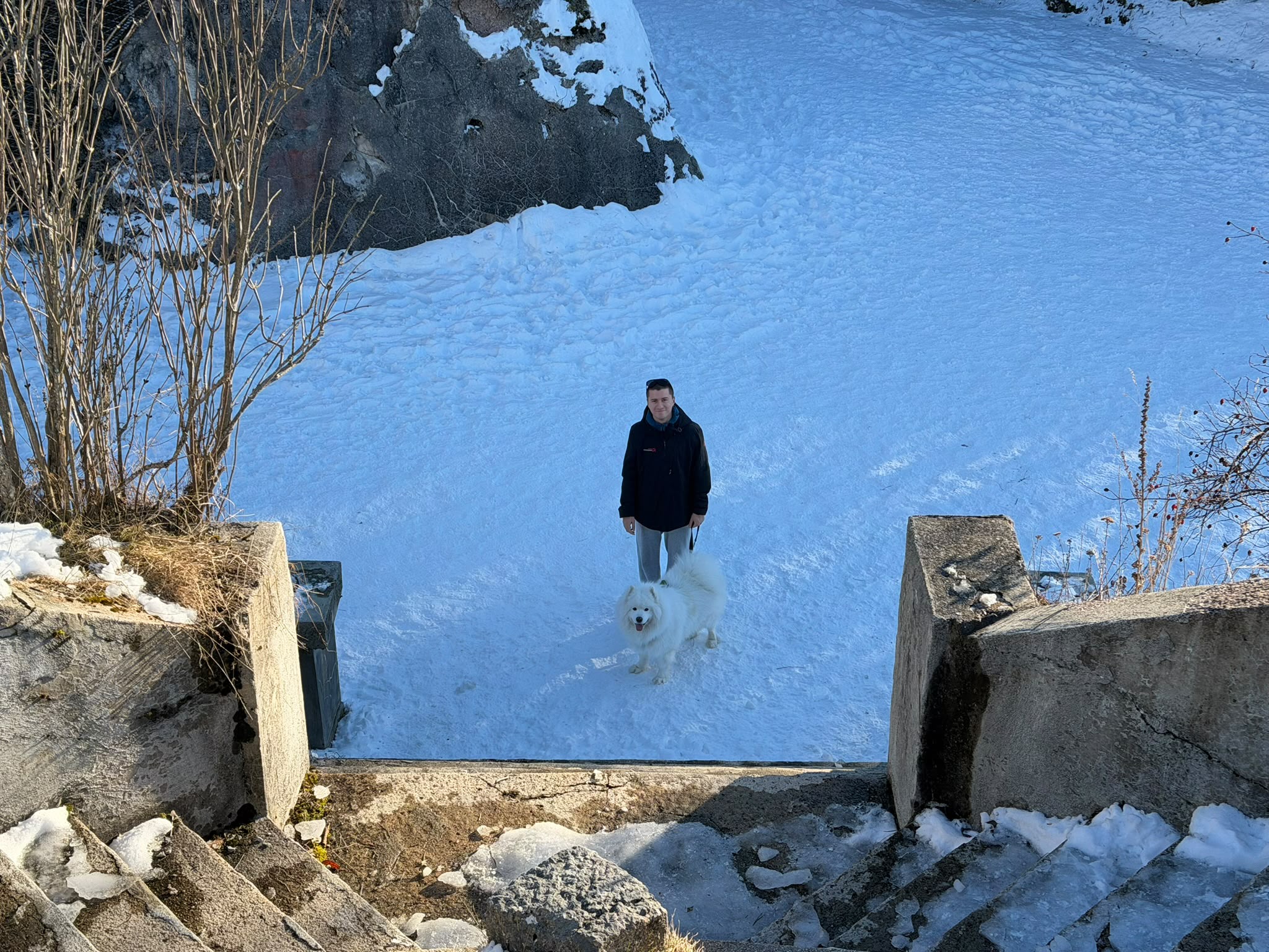 image-0