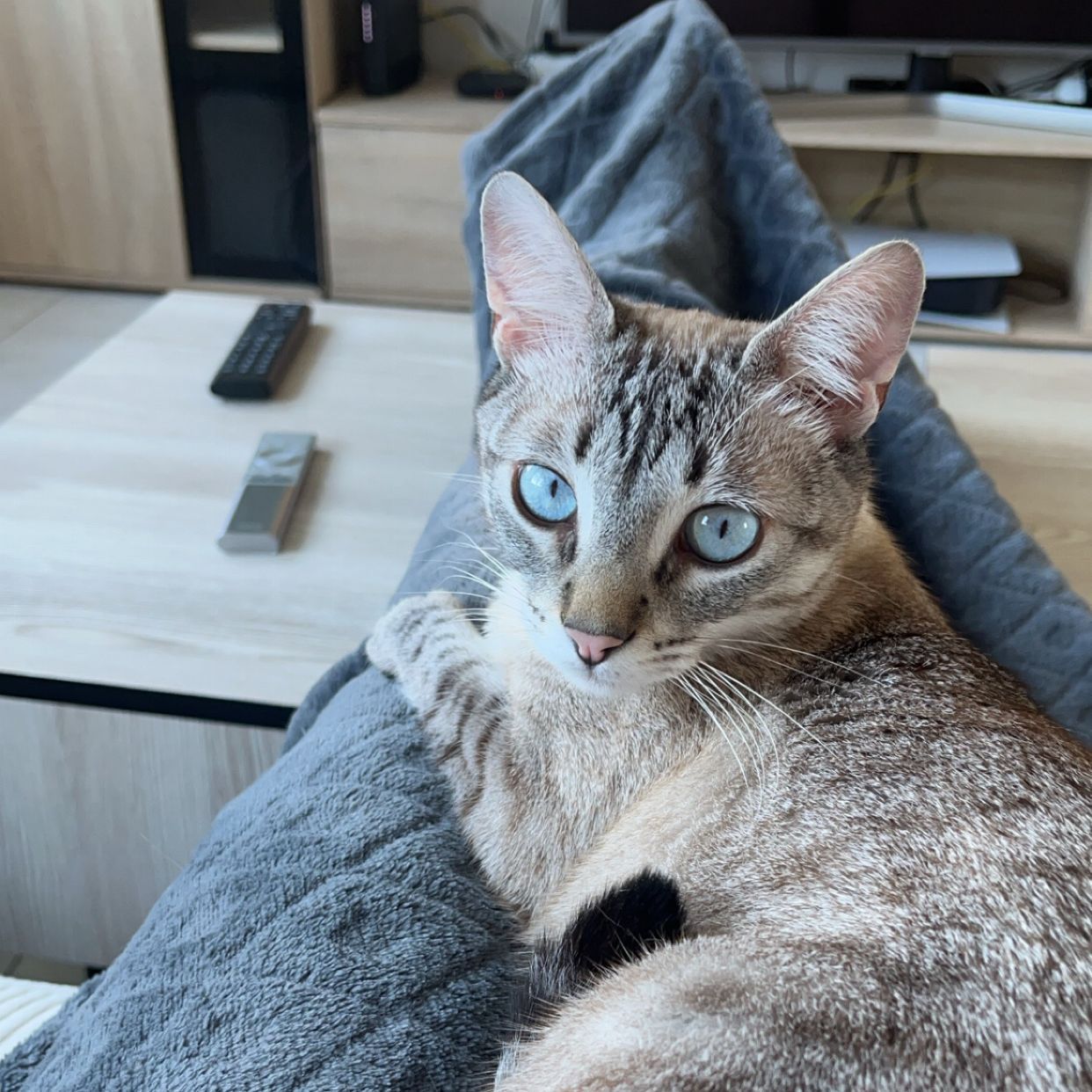 Doudou
