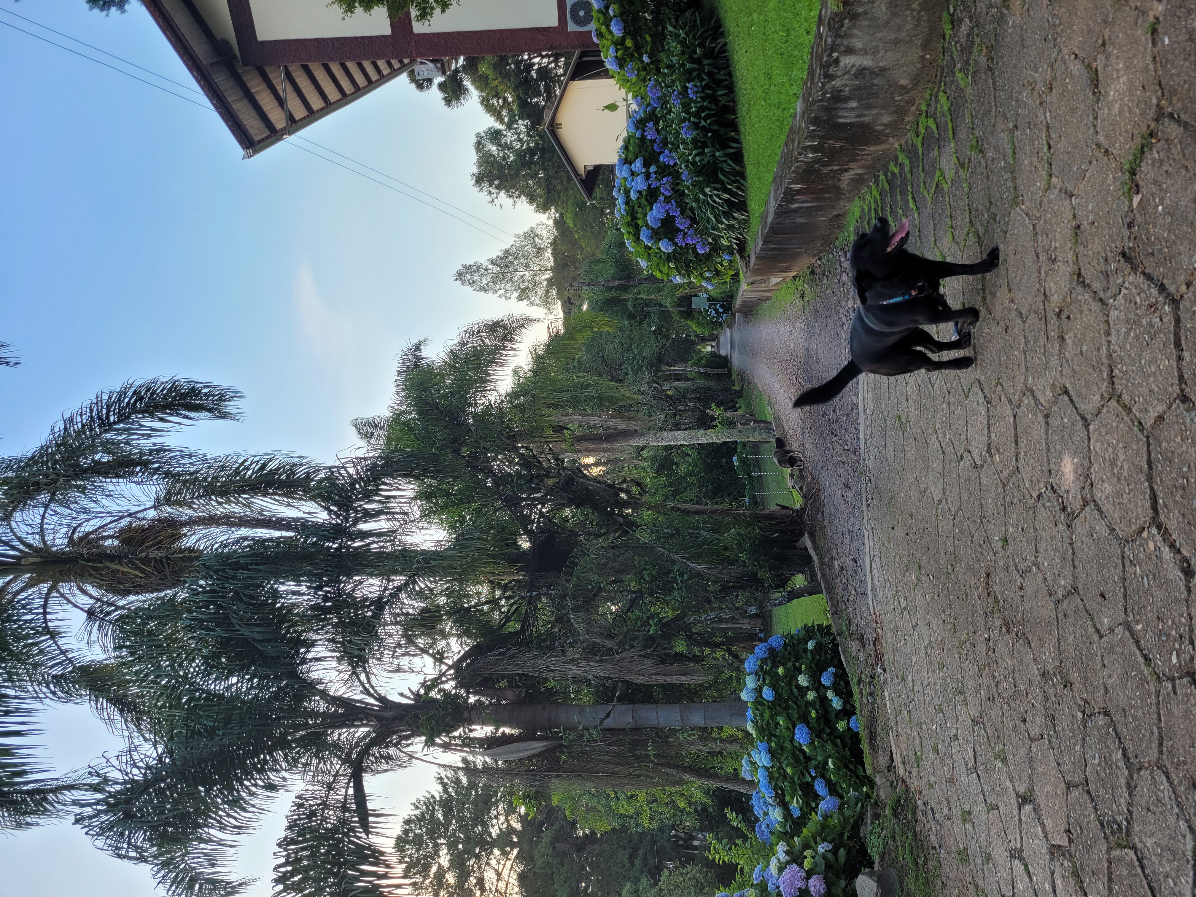 image-18