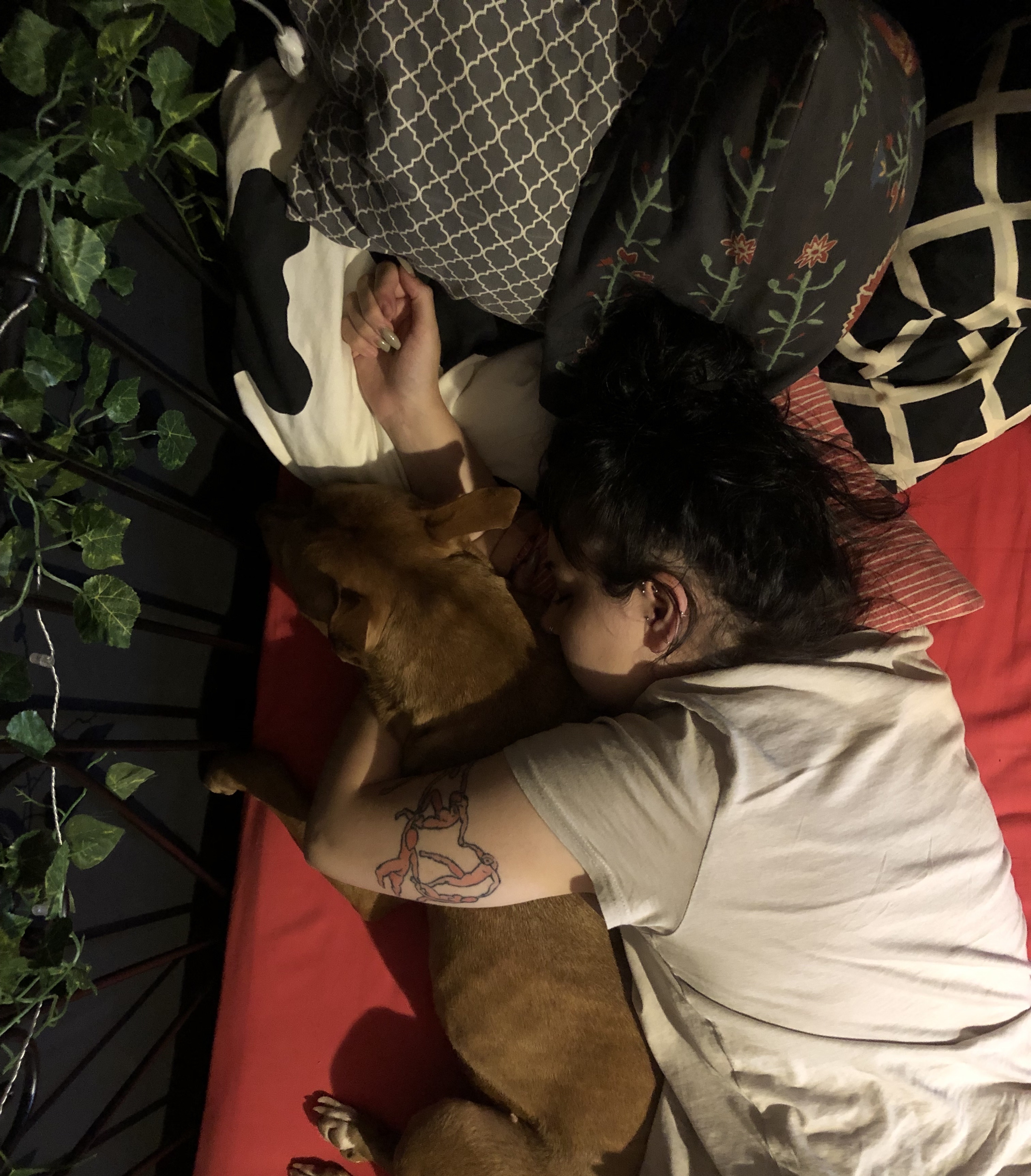 image-6