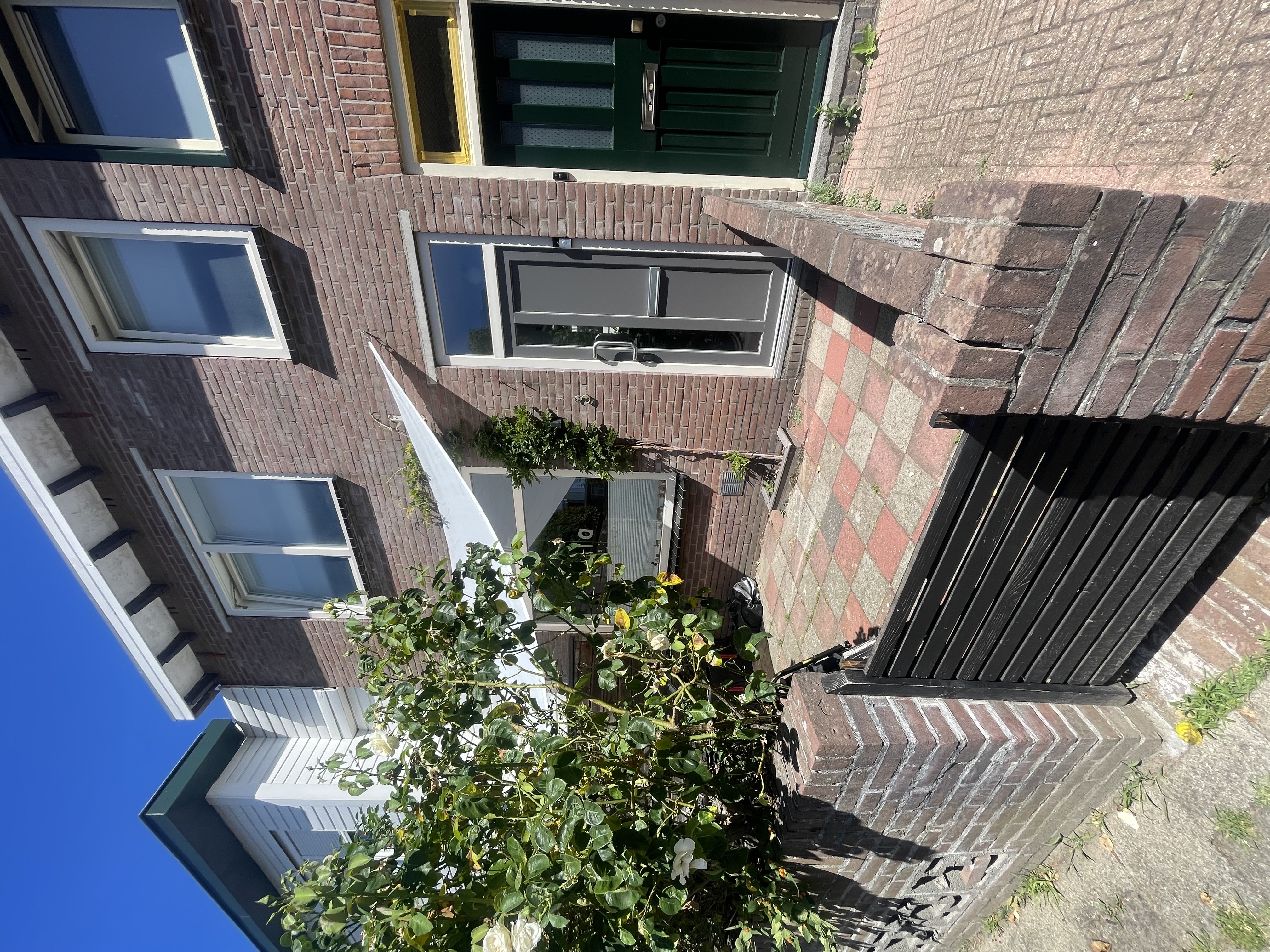 image-12