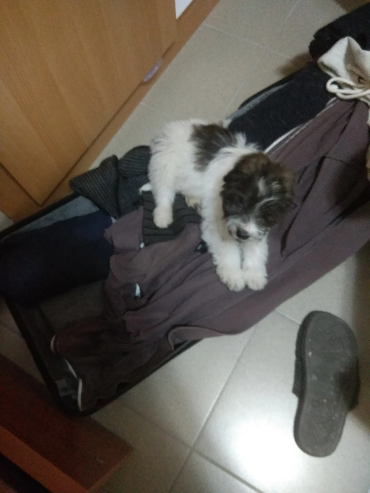 image-8