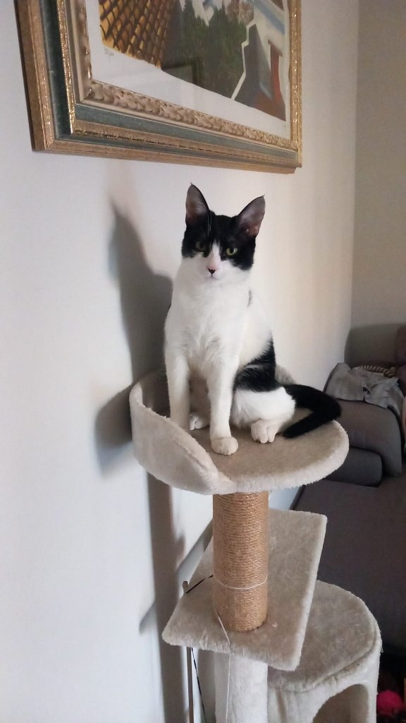 Mia