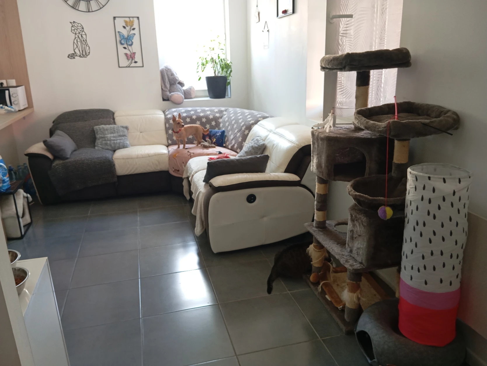 image-7