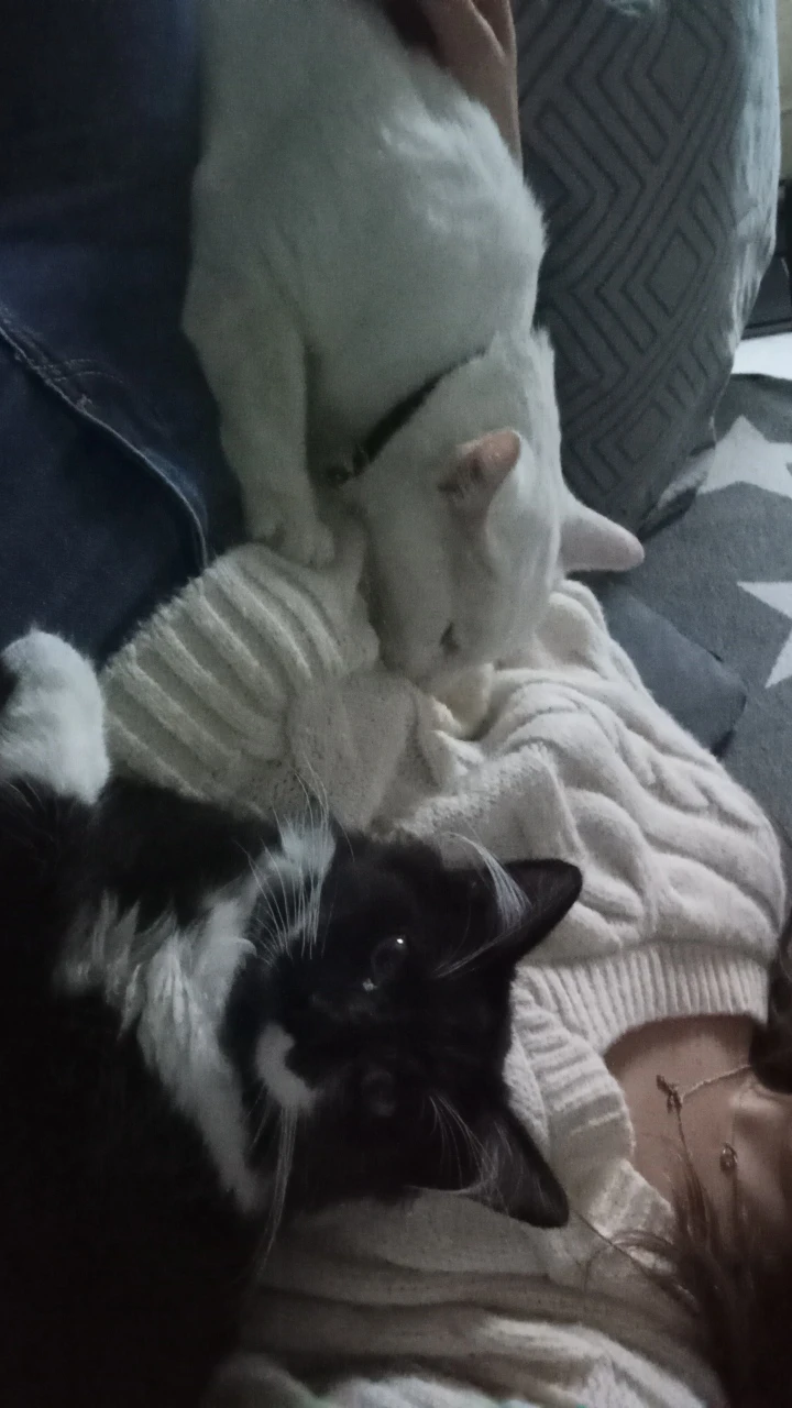 image-6