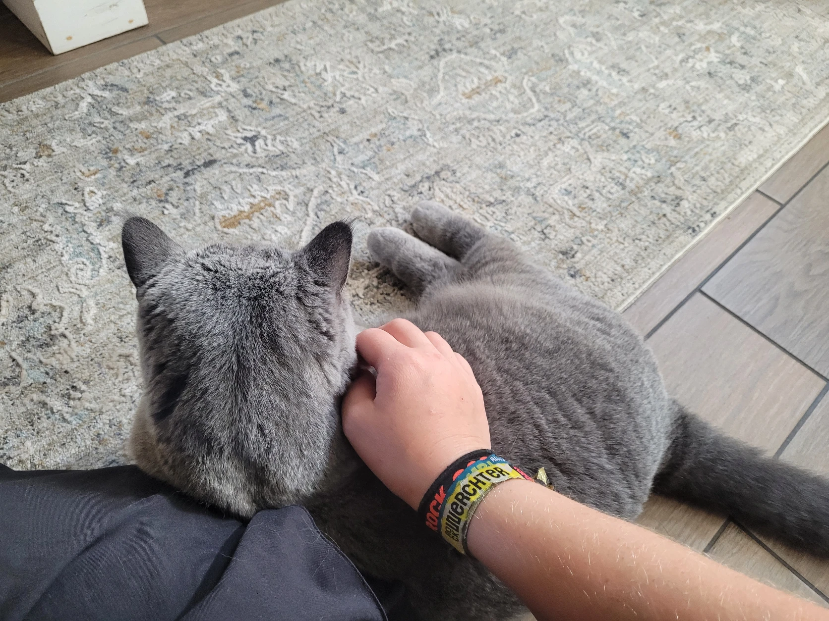 image-7