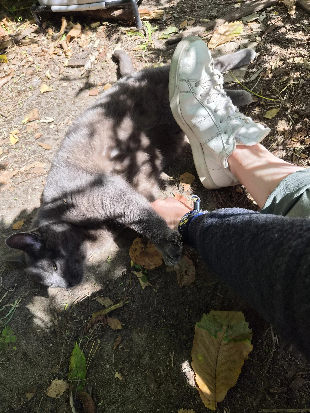 image-11