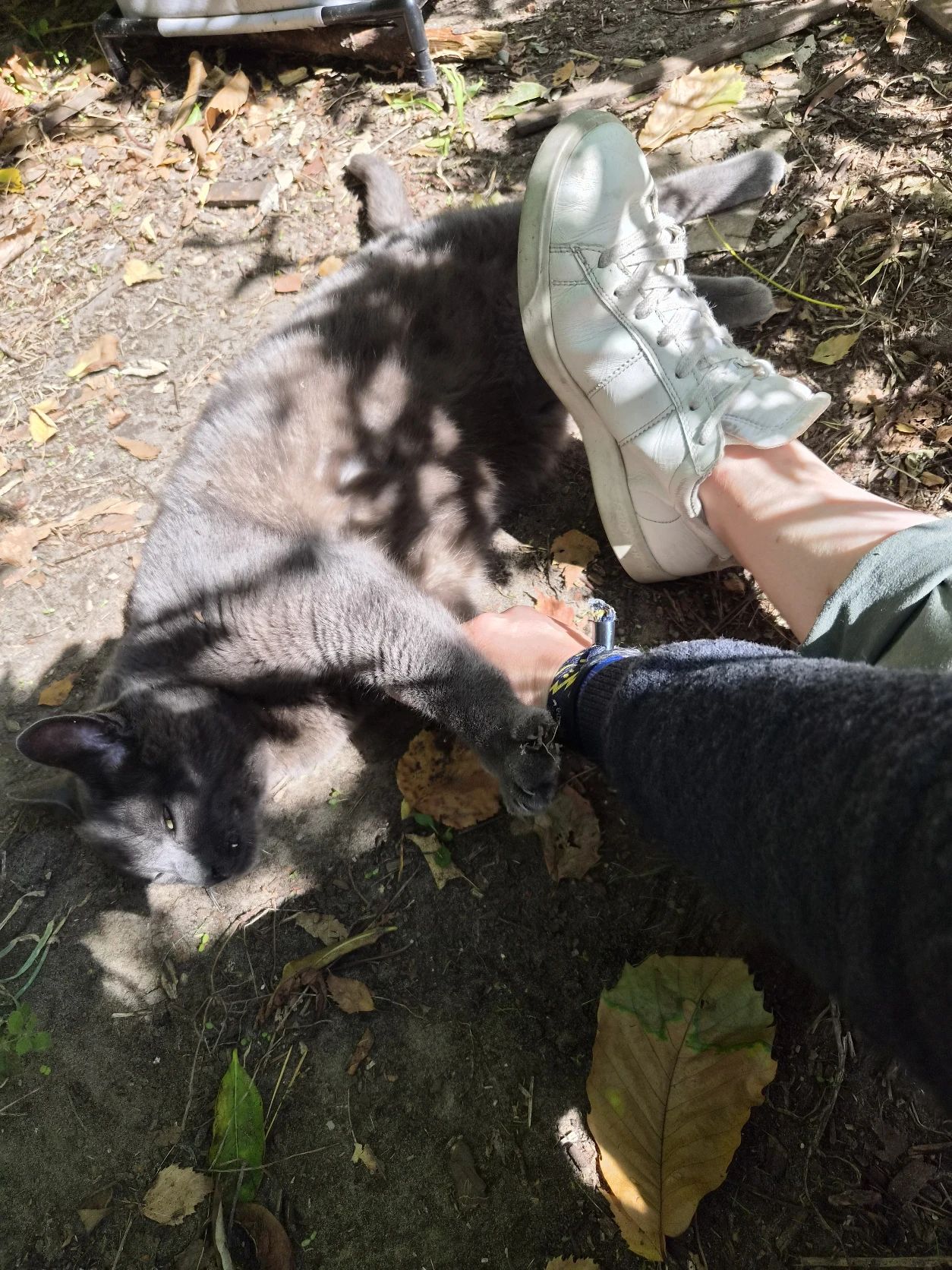 image-11