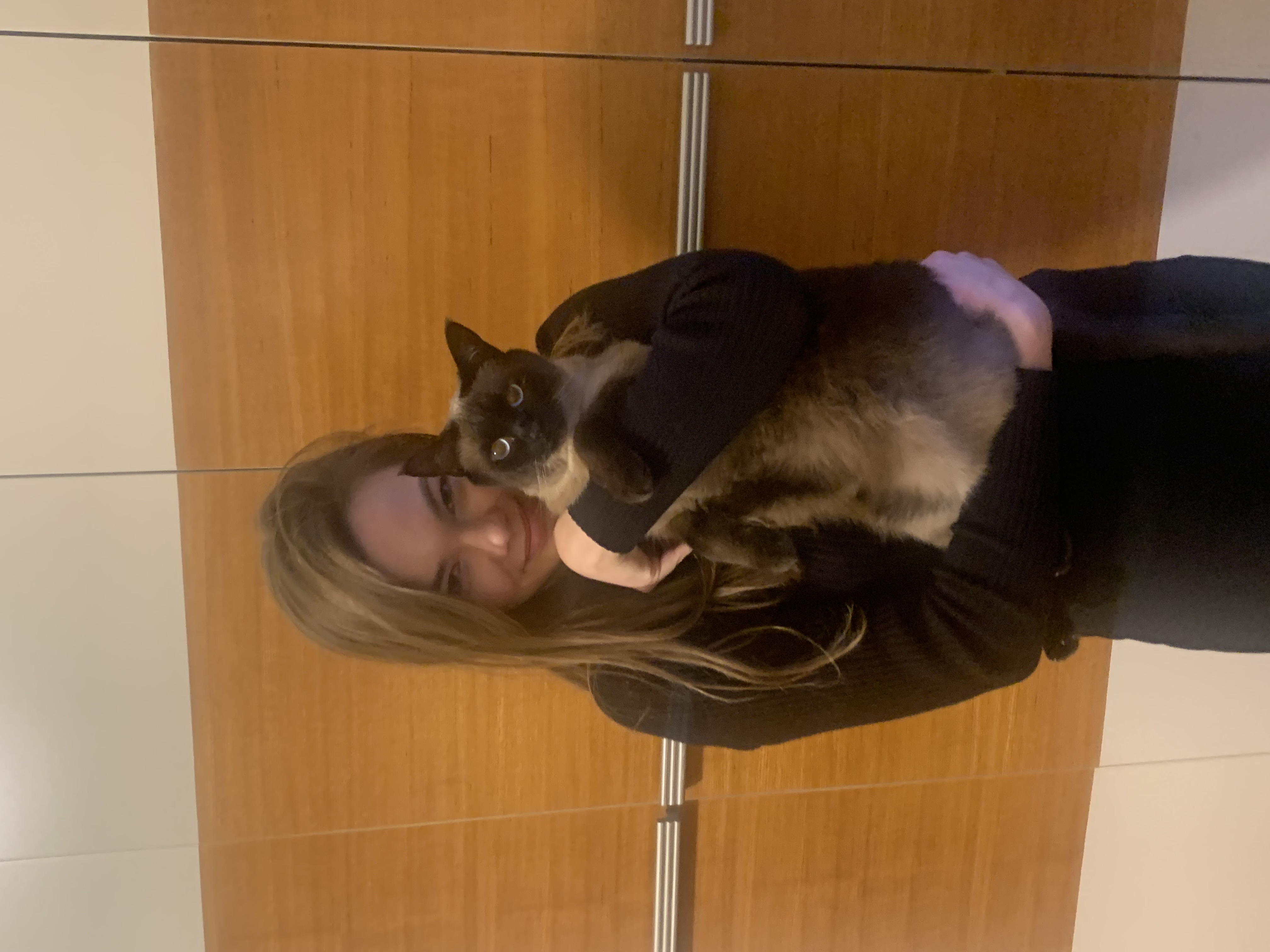 image-6