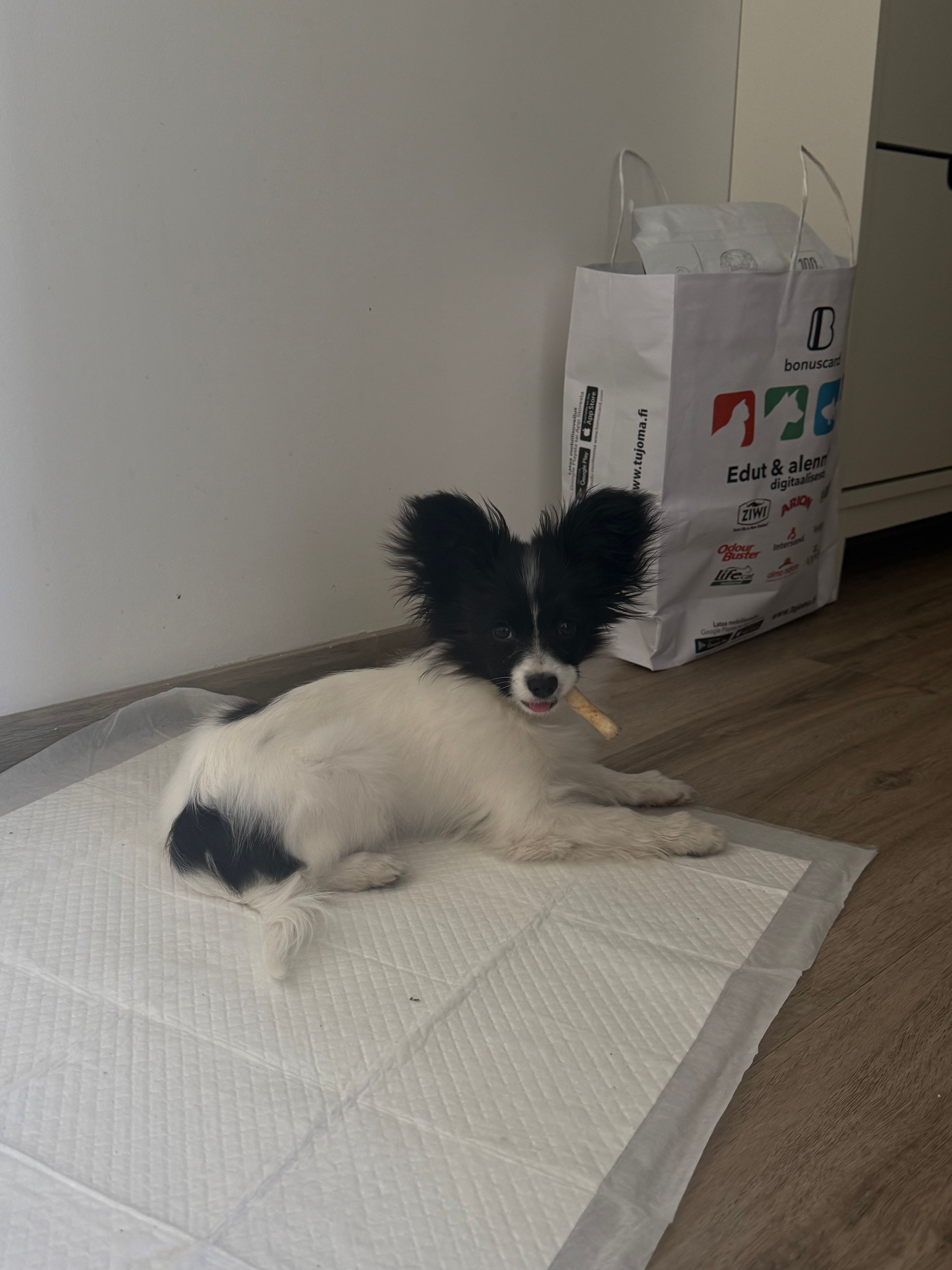 image-3