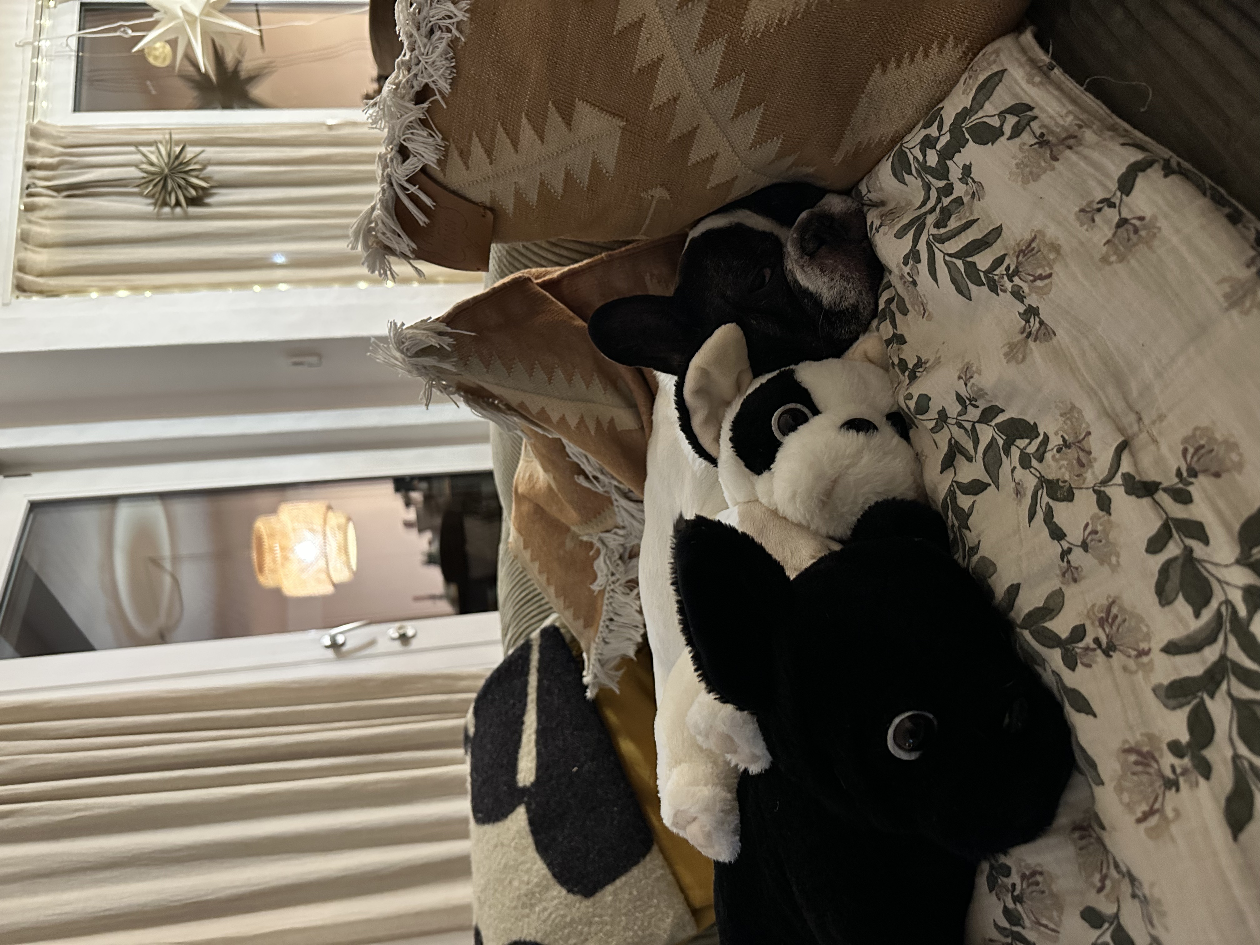 image-11