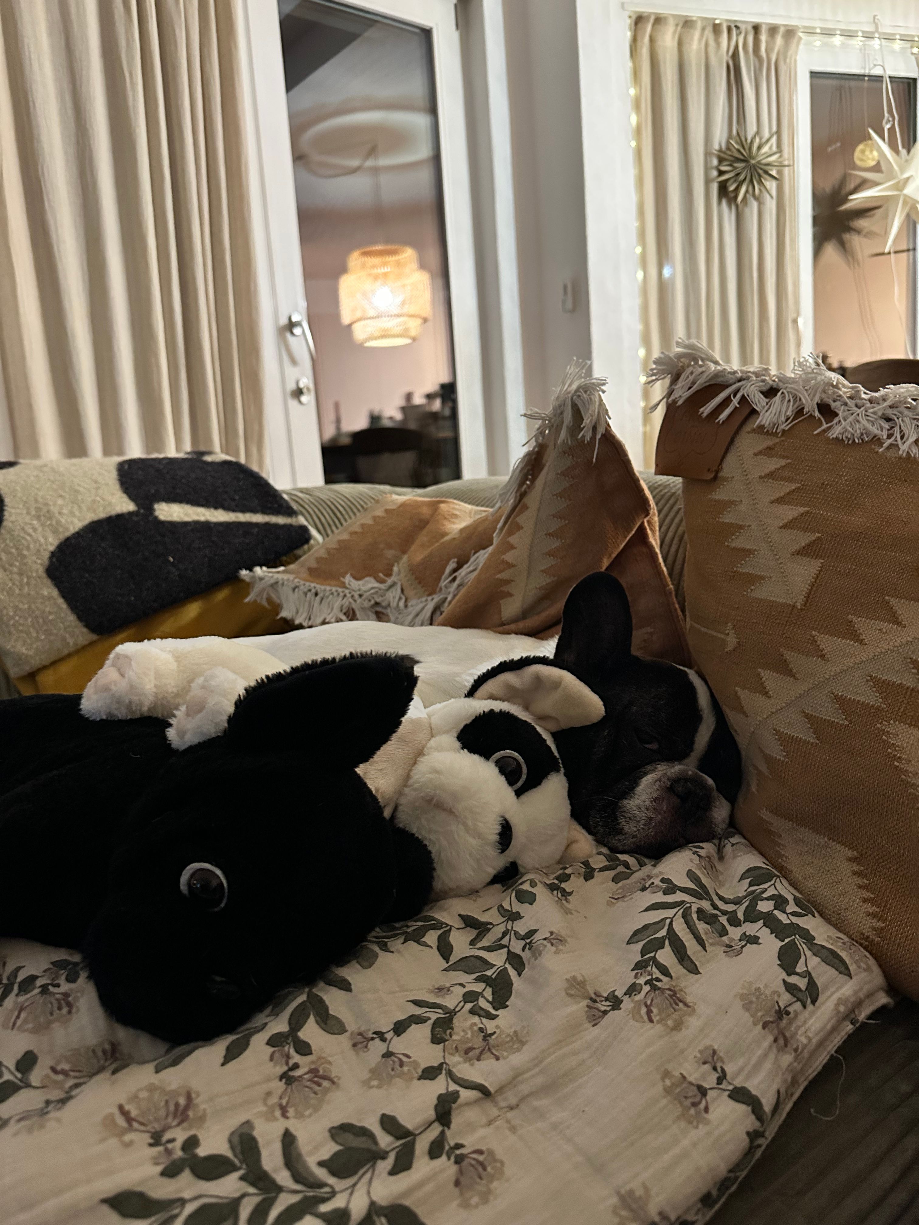 image-11