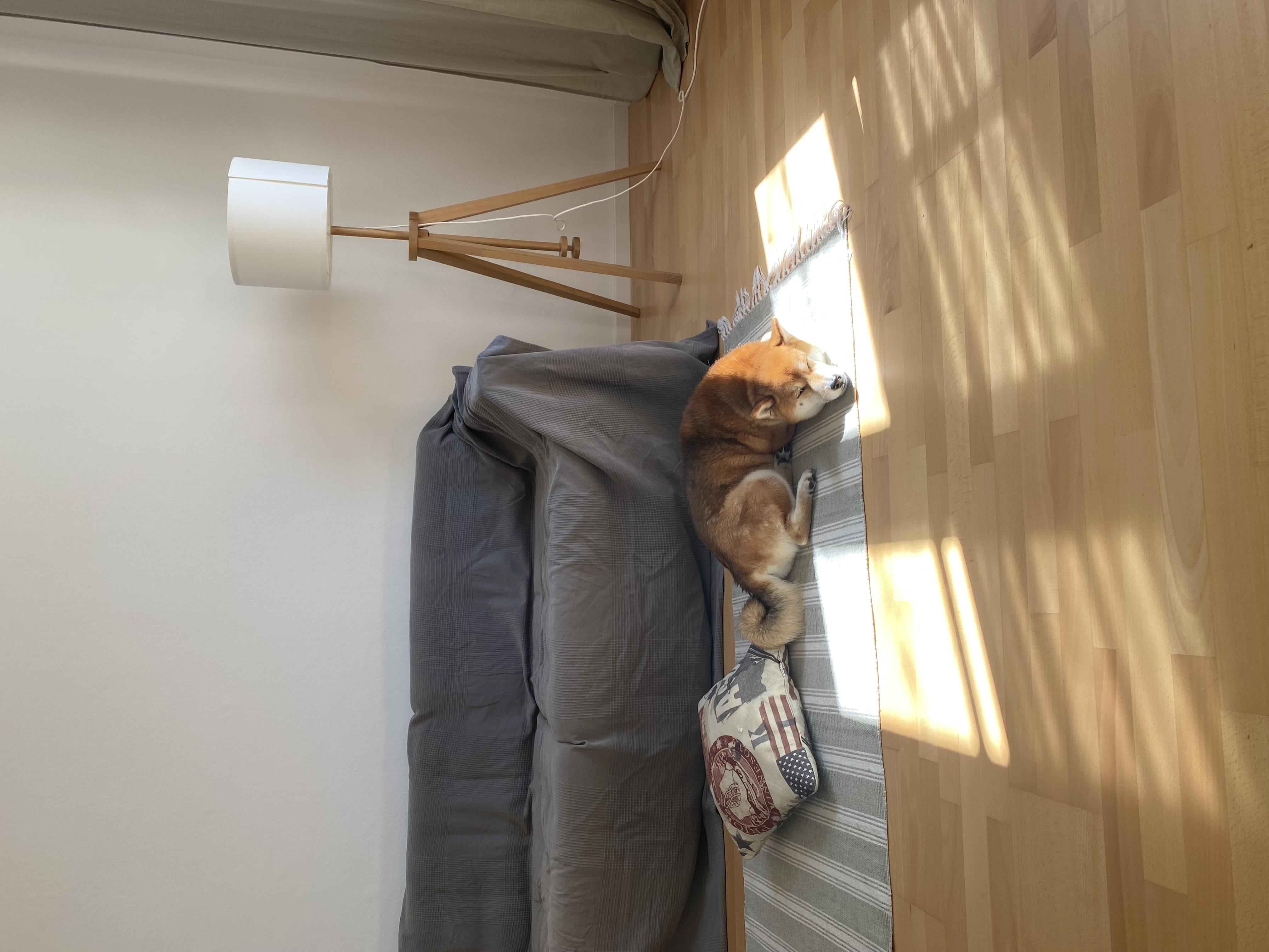 image-6