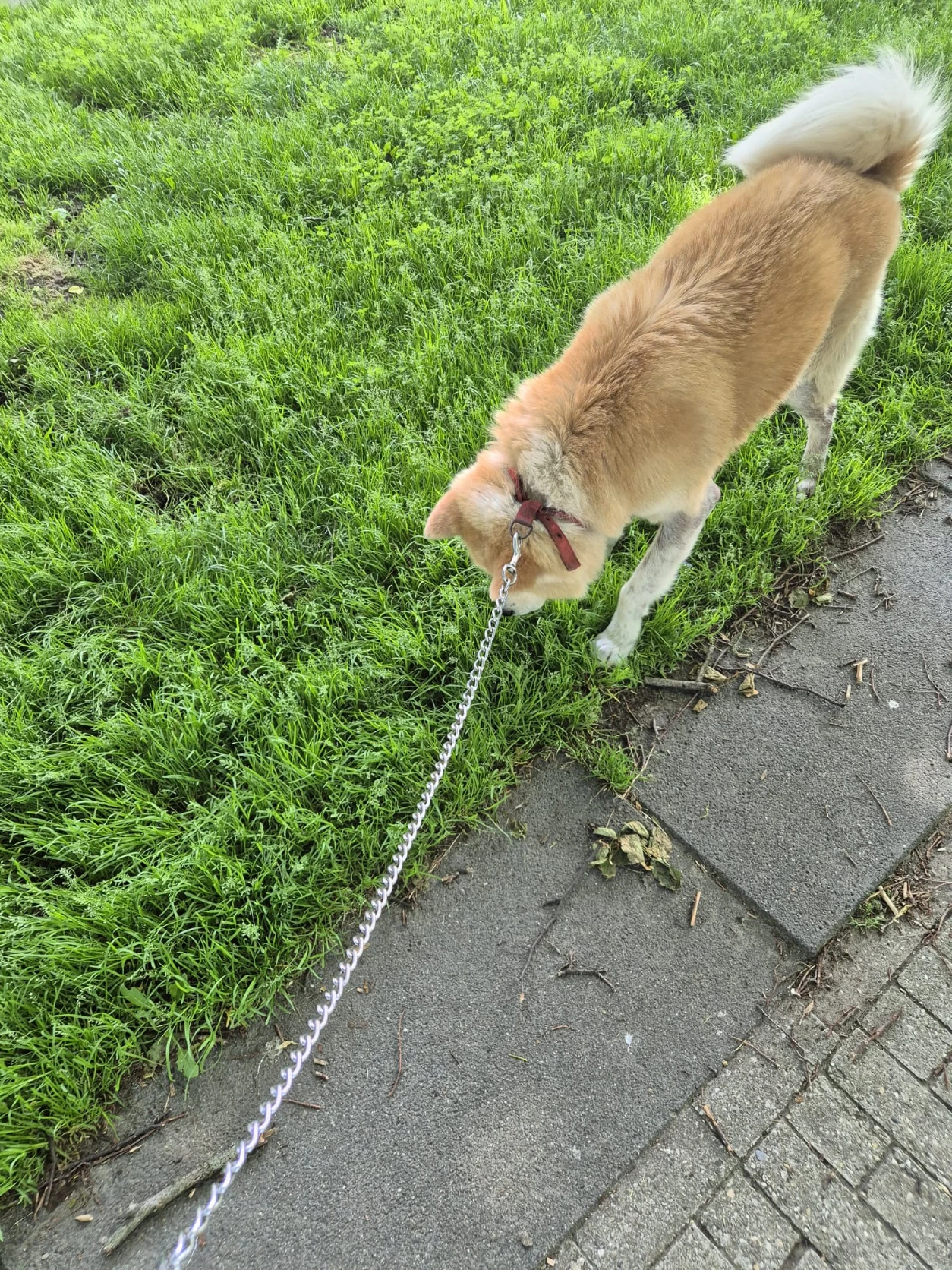 image-8