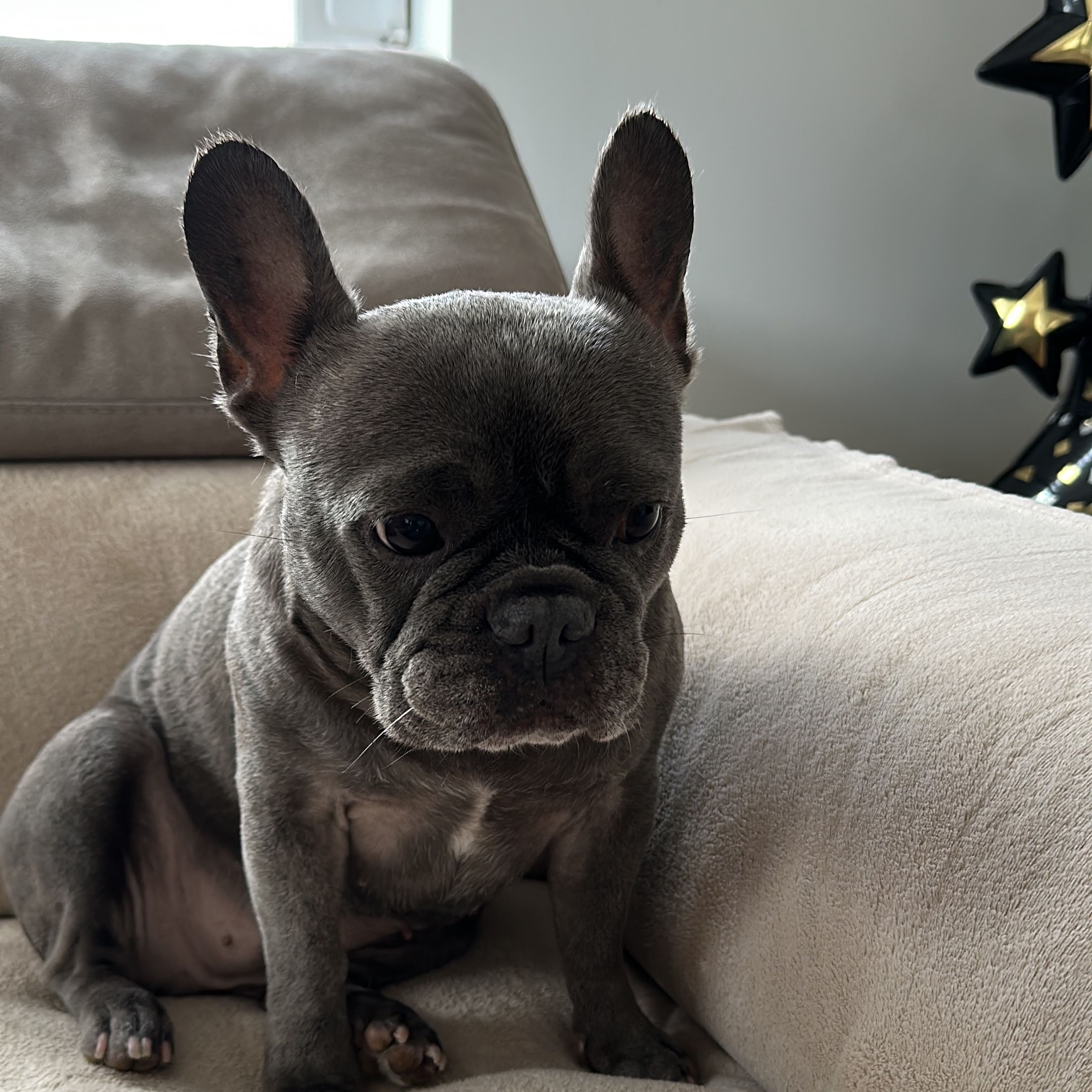 Bonnie