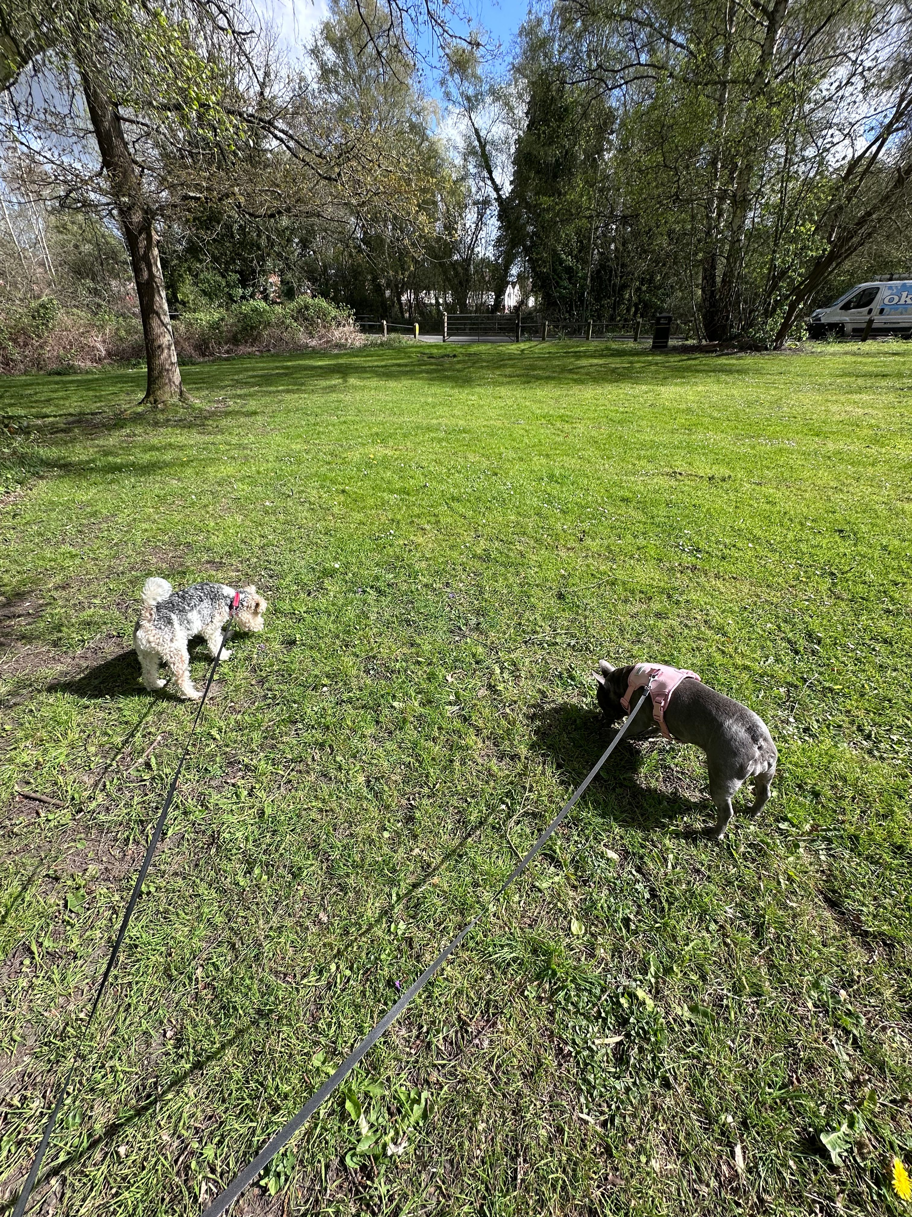 image-12