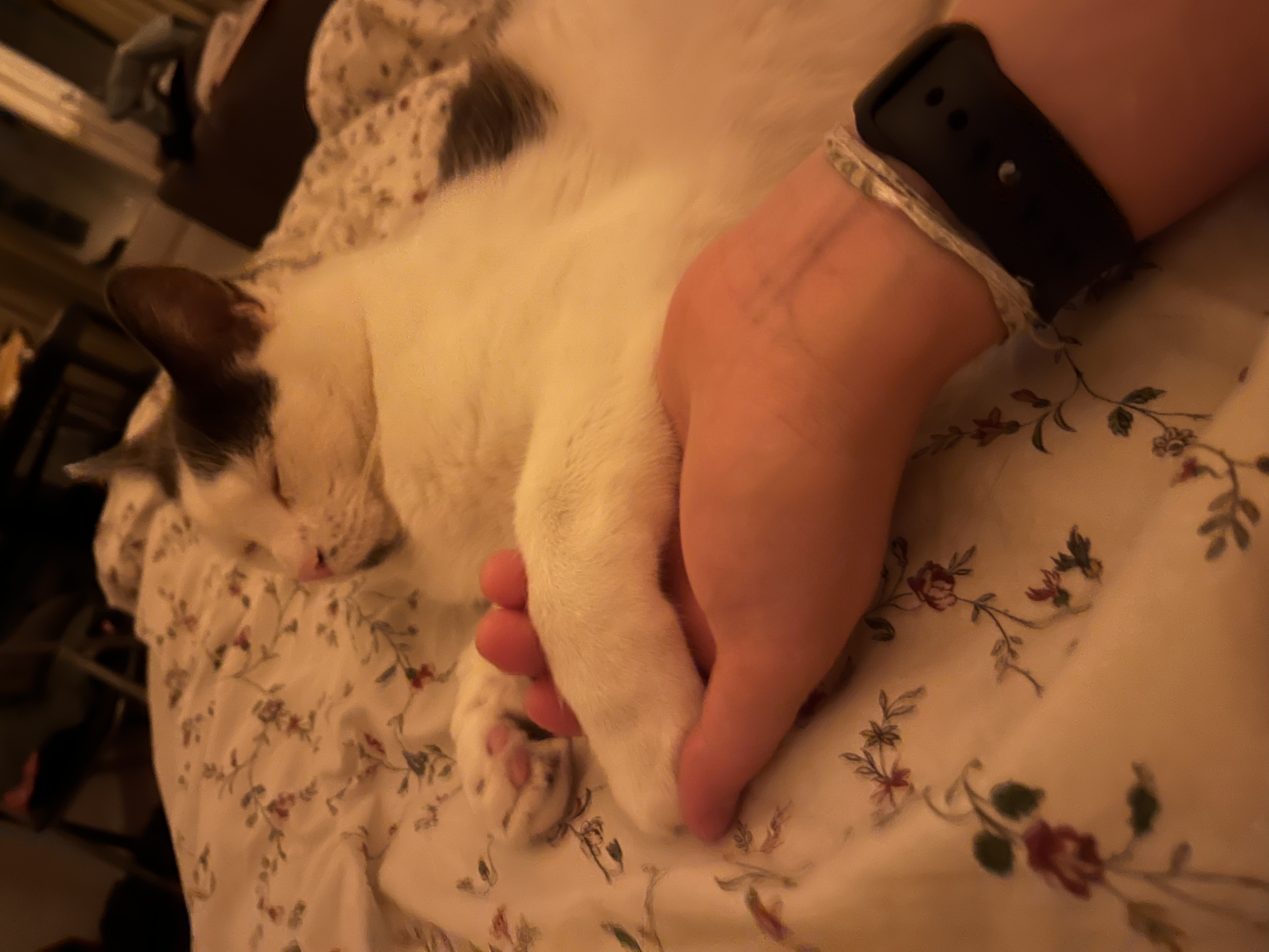 image-8