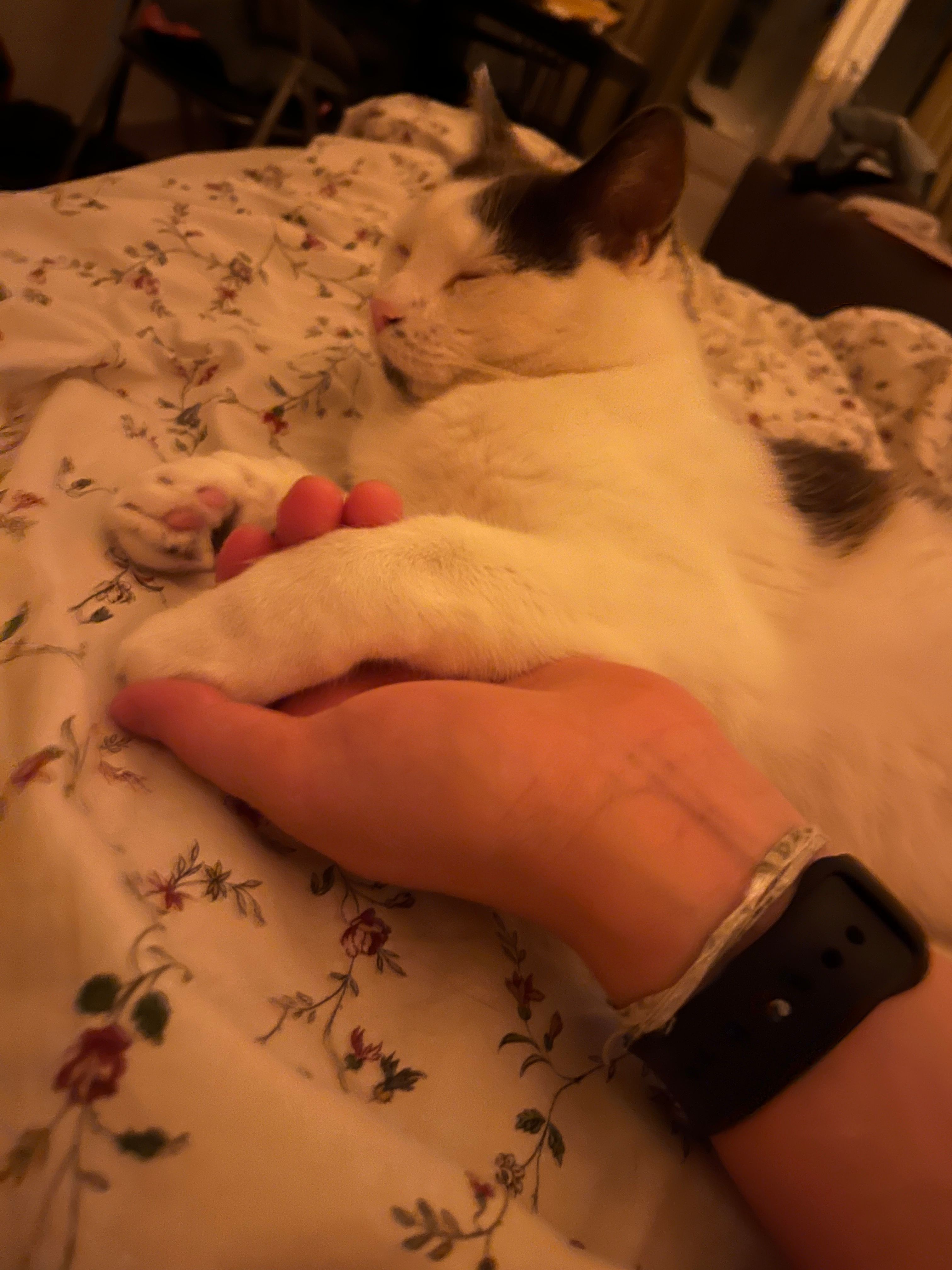 image-8