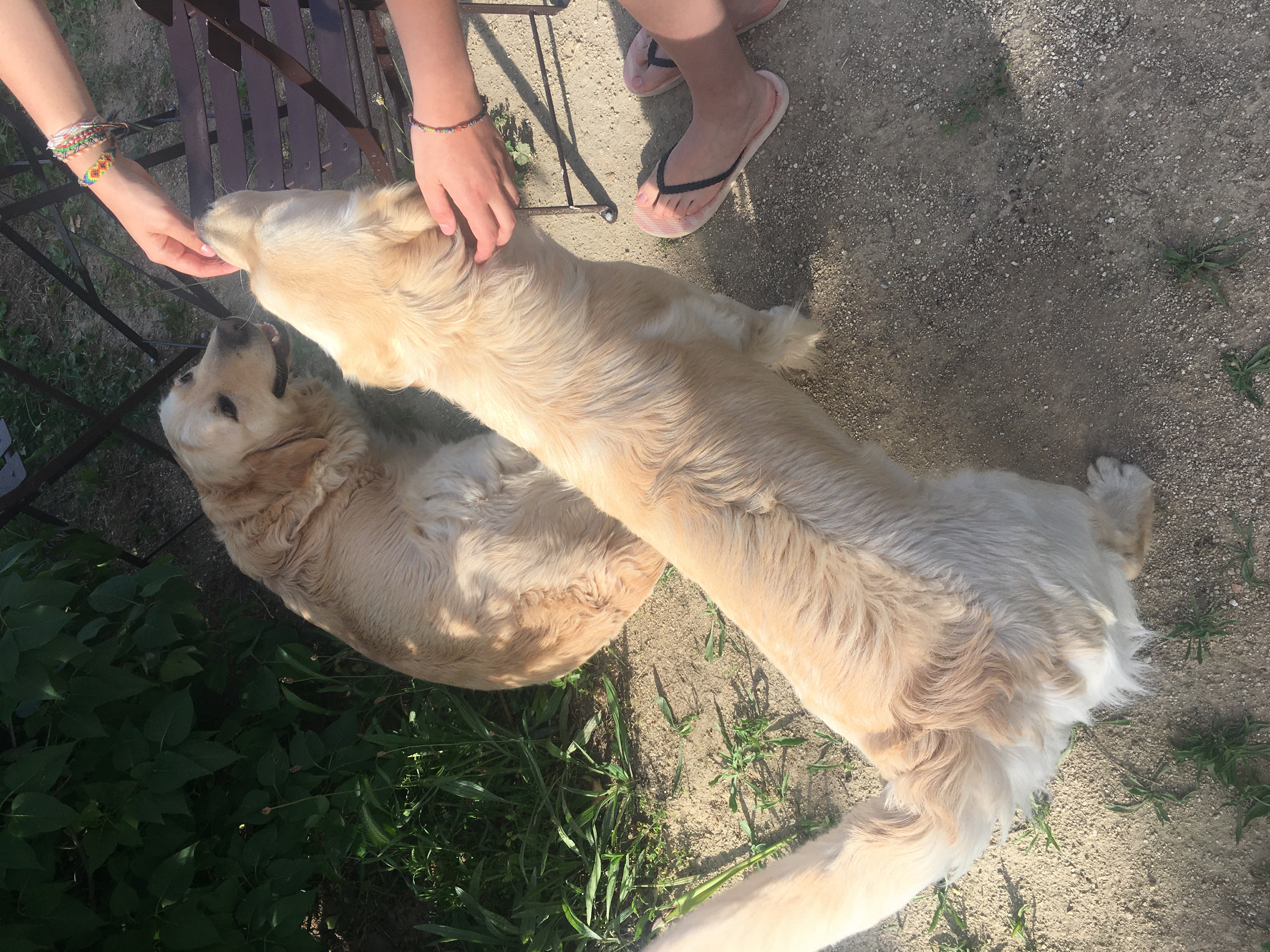 image-7
