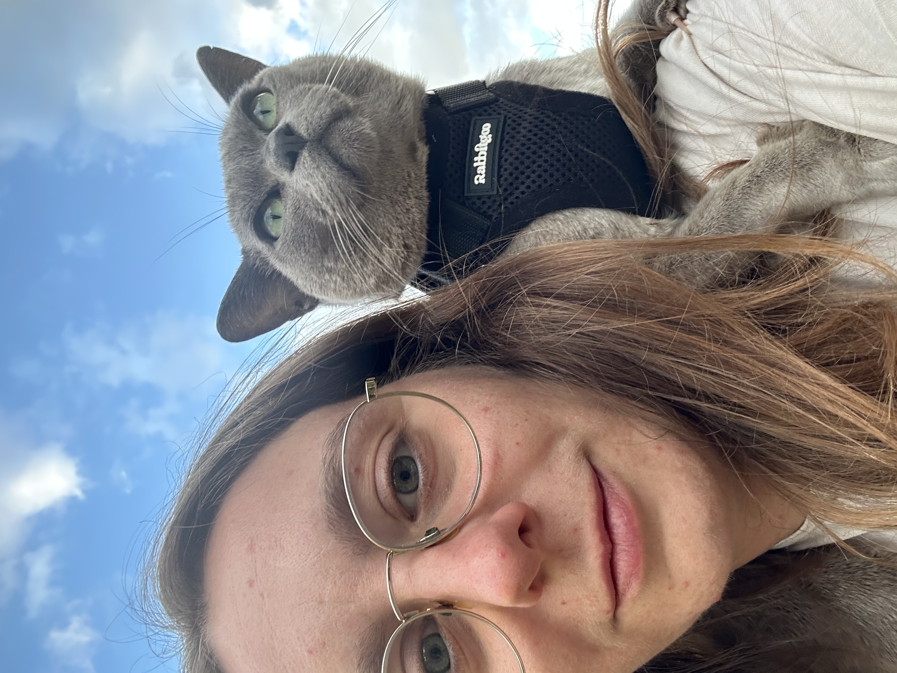 image-14