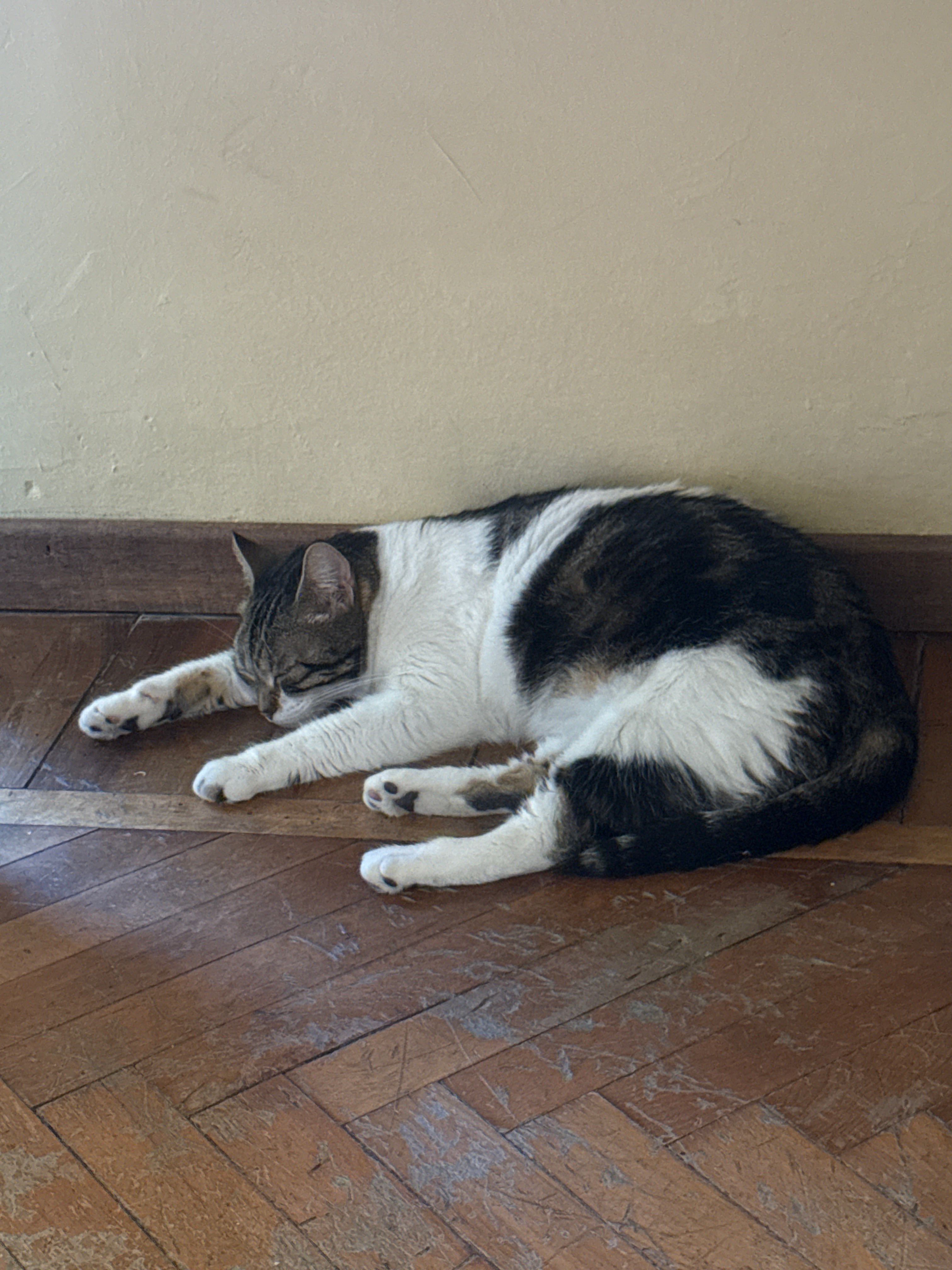 image-11