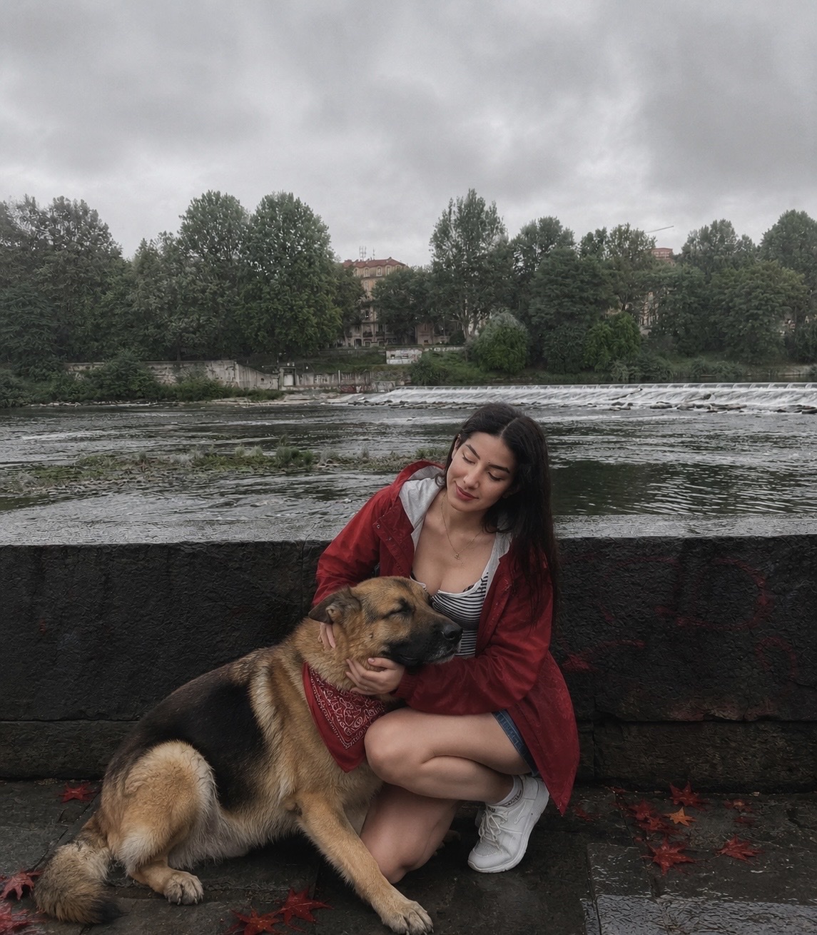 image-6