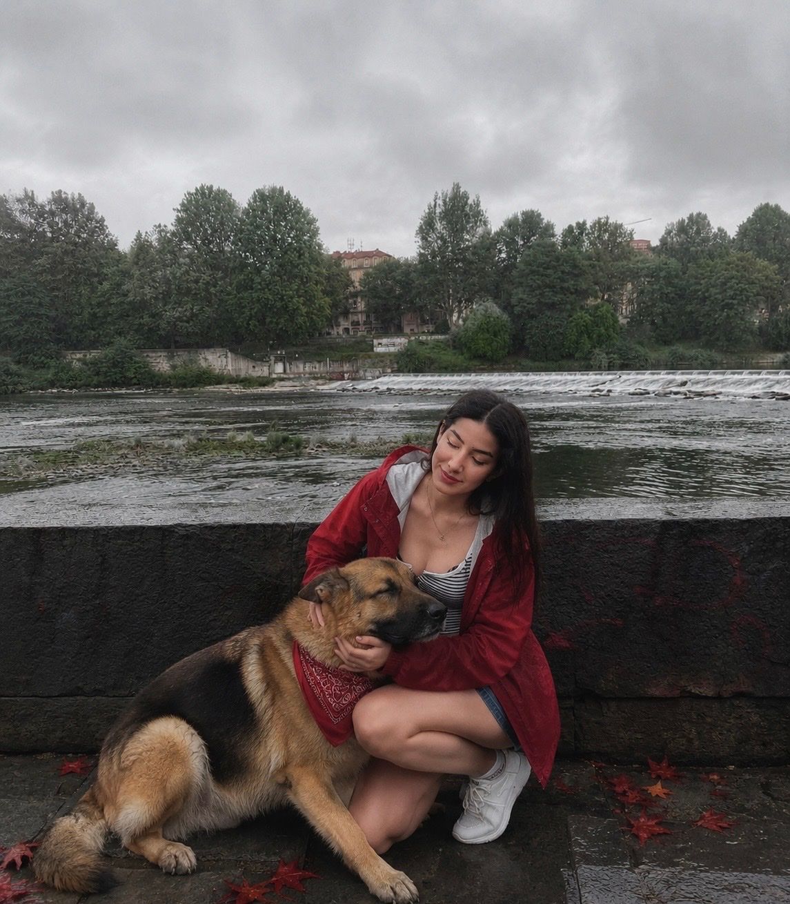 image-6