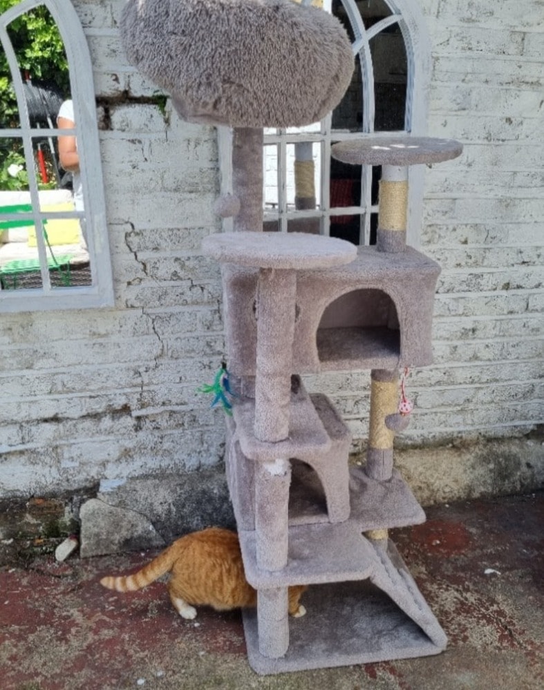 image-41